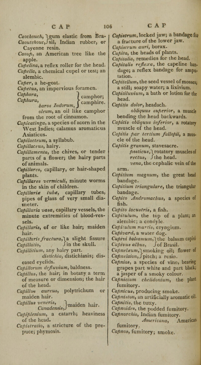 CAP Caochouch, \gurn elastic from Bra- Caoutchouc,! sil, Indian rubber, or Cayenne resin. Caoufi, an American tree like the apple. Cafielina, a reflex roller for the head. Cafiella, a chemical cupel or test; an alembic. Cafier, a he-goat. Cafietus, an impervious foramen. Cafihora, [camphor; Cafihura, f camphire. baros Indorum,j r oleum, an oil like camphor from the root of cinnamon. Cafiicatinga, a species of acorn in the West Indies; calamus aromaticus Asiaticus. Cafiilacteum, a syllabub. Cafiillaceus, hairy. Cafiillamenta, the chives, or tender parts of a flower; the hairy parts of animals. Cafiillares, capillary, or hair-shaped plants. Cafiillares vermiculi, minute worms in the skin of children. Cajiillarig tuba, capillary tubes, pipes of glass of very small dia- meter. Cafiillaria vasa, capillary vessels, the minute extremities of blood-ves- sels. Cafiillaris, of or like hair; maiden hair. Cafiillaris fractura,\a, slight fissure Cafiillatio, J in the skull. Cafiillitium, any hairy part. distichia, distichiasis; dis- eased eyelids. Cafiillorum dcjluvium, baldness. Cafiillus, the hair; in botany a term of measure or dimension; the hair of the head. Cafiilhee aureus, polytrichum or maiden hair. Cafiillus veneris, |maiden hjdr> Canadensis,! Cafiiplenium, a catarrh; heaviness of the head. Cafiistratio, a stricture of the pre- puce; phymosis. Cofiittrum, locked jaw; a bandage for a fracture of the lower jaw. Cafiistrum auri, borax. Cufiita, the heads of plants. Ca/iitalia, remedies for the head. Cafiitalis rr/lexa, the capeline ban> dage; a reflex bandage for ampu. tation. Cafiitellum, the seed vessel of mosses; a still; soapy water; a lixivium. Cafiitiluvium, a bath or lotion for the head. Cafiitis dolor, headach. obliquus sufierior, a muscle bending the head backwards. Cafiitis obliquus inferior, a rotatory muscle of the head. Cafiitis fiar tertium fullofiii, a mus« cle of the head. Cafiitis granum, stavesacre. fiosticus,~\ rotatory muscles of rectus, J the head. vena, the cephalic vein of the arm. Cafiitium magnum, the great head bandage. Cafiitium triangulare, the triangular bandage. Cafiito jindromachus, a species of fish. Cafiito lacustris, a fish. Cafiitulum, the top of a plant; an alembic; a condyle. Cafiitulum martis, eryngium. Cafiivard, a water dog. Cafiivi bahamum,T the balsam capivi Ca/tivus albus, JofBrasil. Cafinel(eum,\smoking oil; flower of Cafinelaion, j pitch; a resin. Cafinias, a species of vine, bearing grapes part white and part black; a jasper of a smoky colour. Cafinicium chelidonium, the plant fumitory. Cafinicus, producing smoke. Cafiniston, an artificially aromatic oil. Cafinitis, the tutty. Cafinoides, the podded fumitory. Cafinorchis, Indian fumitory. ■Americana, American fumitory. Cafinos, fumitory; smoke.