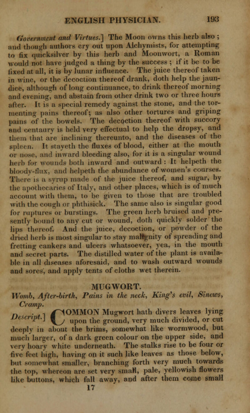 Gorrrnmcnt and Virtues.] The Moon owns this herb also ; and though authors cry out upon Alchyniists, for attempting to fix quicksilver by this herb and Moonwort, a Roman would not have judged a thing by the success ; if it be to be fixed at all, it is by lunar influence. The juice thereof taken in wine, or the decoction thereof drank, doth help the jaun- dice, although of long continuance, to drink thereof morning and evening, and abstain from other drink two or three hours nfter. It is a special remedy against the stone, and the tor- menting pains thereof; as also other tortures and griping pains of the bowels. The decoction thereof with succory and centaury is held very effectual to help the dropsy, and them that are inclining thereunto, and the diseases of the spleen. It stayeth the fluxes of blood, either at the mouth or nose, and inward bleeding also, for it is a singular wound herb for wounds both inward and outward : It helpeth the bloody-flux, and helpeth the abundance of women's courses. There is a syrup made of the juice thereof, and sugar, by the apothecaries of Italy, and other places, which is of much account with them, to be given to those that are troubled with the cough or phthisick. The same also is singular good for ruptures or burstings. The green herb bruised and pre- sently bound to any cut or wound, doth quickly solder the lips thereof. And the juice, decoction, or powder of the dried herb is most singular to stay maWgnity of spreading and fretting cankers and ulcers whatsoever, yea, in the mouth and secret parts. The distilled water of the plant is availa- ble in all diseases aforesaid, and to wash outward wounds and sores, and apply tents of cloths wet therein. MUGWORT. Womb, After-birth, Pains in the neck, King's evil, Sinews, Cramp. n ■ /1 /COMMON Mugwort hath divers leaves lying JJescnpt.\ ^^ upon the groun{j? very much divided, or cut deeply in about the brims, somewhat like wormwood, but much larger, of a dark green colour on the upper side, and very hoary white underneath. The stalks rise to be four or five feet high, having on it such like leaves as those below, but somewhat smaller, branching forth very much towards the top, whereon are set very smaM, pale, yellowish flowers like buttons, which fall away, and after them come small 17