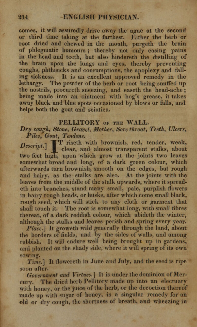 comes, it will assuredly drive away the ague at the second or third time taking at the farthest. Either the herb or root dried and chewed in the mouth, purgeth the brain of phlegmatic humours ; thereby not only easing pains in the head and teeth, but also hindereth the distilling of the brain upon the lungs and eyes, thereby preventing coughs, phthisicks and consumptions, the apoplexy and fall- ing sickness. It is an excellent approved remedy in the lethargy. The powder of the herb or root being snuffed up the nostrils, procureth sneezing, and easeth the head-ache; being made into an ointment with hog's grease, it takes away black and blue spots occasioned by blows or falls, and helps both the gout and sciatica. PELLITORY of the WALL. Dry cough, Stone, Gravel, Mother, Sore throat, Teeth, Ulcers^ Piles,' Gout, Tendons. jy ■ . -j TTT riseth with brownish, red, tender, weak, J L dear, and almost transparent stalks, about two feet high, upon which grow at the joints two leaves somewhat broad and long, of a dark green colour, which afterwards turn brownish, smooth on the edges, but rough and hairy, as the stalks are also. At the joints with the leaves from the middle of the stalk upwards, where it spread- etb into branches, stand many small, pale, purplish flowers in hairy rough heads, or husks, after which come small black, rough seed, which will stick to any cloth or garment that shall touch it. The root is somewhat long, with small fibres thereat, of a dark reddish colour, which abideth the winter, although the stalks and leaves perish and spring every year. Place.] It groweth wild generally through the land, about the borders of fields, and by the sides of walls, and among rubbish. It will endure well being brought up in gardens, and planted on the shady side, where it will spring of its own sowing. Time.] It flowereth in June and July, and the seed is ripe Soon after. Government and Virtues.] It is under the dominion of Mer- cury. The dried herb Pellitory made up into an electuary with honey, or the juice of the herb, or the decoction thereof made up with su«ar of honey, is a singular remedy for an old or dry cough, the shortness of breath, and wheezing in