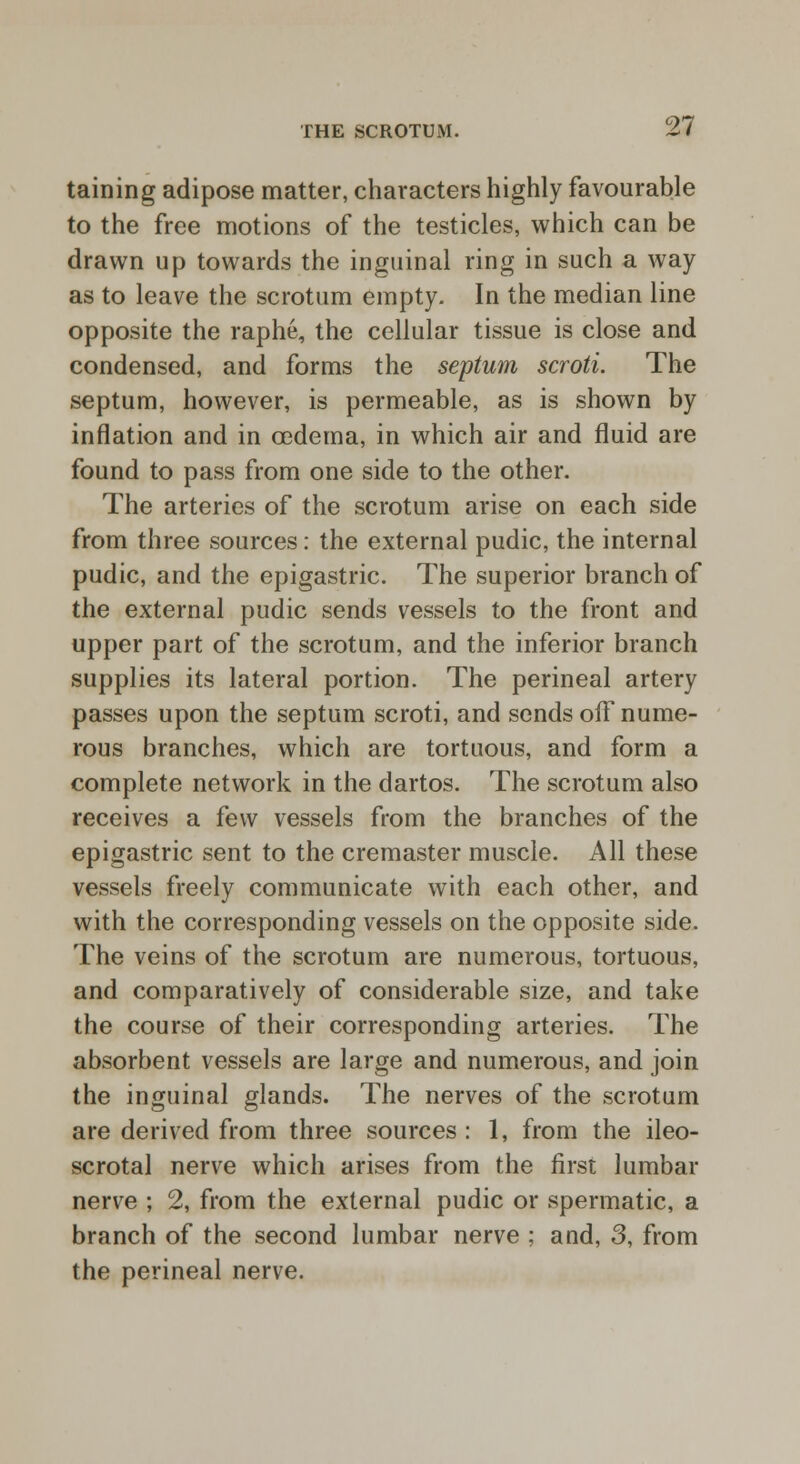taining adipose matter, characters highly favourable to the free motions of the testicles, which can be drawn up towards the inguinal ring in such a way as to leave the scrotum empty. In the median line opposite the raphe, the cellular tissue is close and condensed, and forms the septum scroti. The septum, however, is permeable, as is shown by inflation and in oedema, in which air and fluid are found to pass from one side to the other. The arteries of the scrotum arise on each side from three sources: the external pudic, the internal pudic, and the epigastric. The superior branch of the external pudic sends vessels to the front and upper part of the scrotum, and the inferior branch supplies its lateral portion. The perineal artery passes upon the septum scroti, and sends off nume- rous branches, which are tortuous, and form a complete network in the dartos. The scrotum also receives a few vessels from the branches of the epigastric sent to the cremaster muscle. All these vessels freely communicate with each other, and with the corresponding vessels on the opposite side. The veins of the scrotum are numerous, tortuous, and comparatively of considerable size, and take the course of their corresponding arteries. The absorbent vessels are large and numerous, and join the inguinal glands. The nerves of the scrotum are derived from three sources : 1, from the ileo- scrotal nerve which arises from the first lumbar nerve ; 2, from the external pudic or spermatic, a branch of the second lumbar nerve ; and, 3, from the perineal nerve.