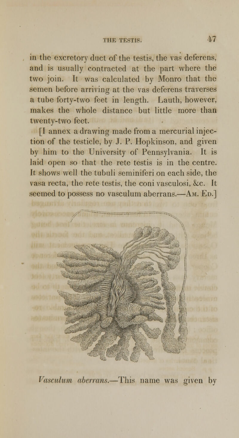 in the excretory duct of the testis, the vas deferens, and is usually contracted at the part where the two join. It was calculated by Monro that the semen before arriving at the vas deferens traverses a tube forty-two feet in length. Lauth, however, makes the whole distance but little more than twenty-two feet. [I annex a drawing made from a mercurial injec- tion of the testicle, by J. P. Hopkinson, and given by him to the University of Pennsylvania. It is laid open so that the rete testis is in the centre. It shows well the tubuli seminiferi on each side, the vasa recta, the rete testis, the coni vasculosi, &c. It seemed to possess no vasculum aberrans.—Am. Ed.] Hfi^ Vasculum aberrans.—This name was given by