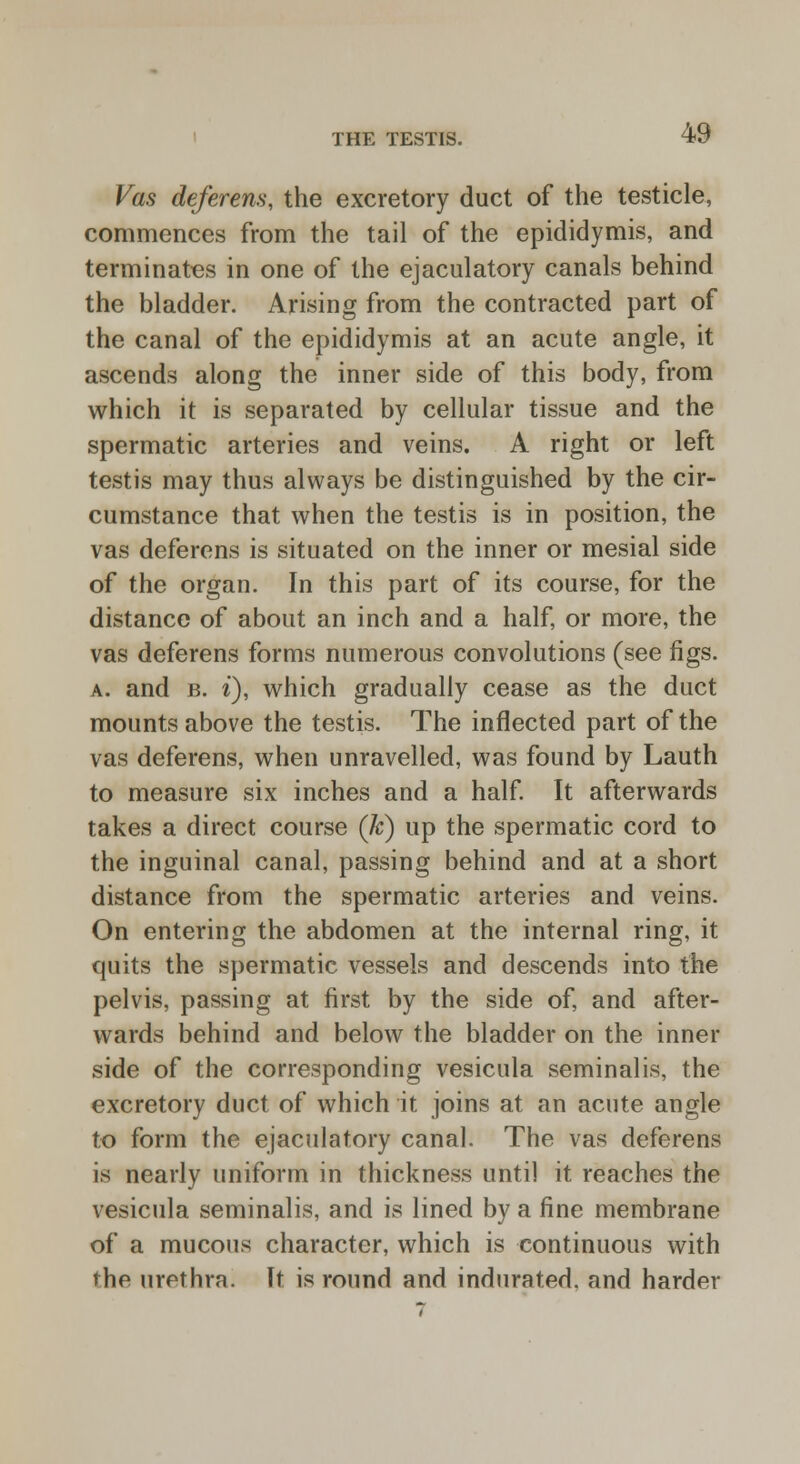 Vas deferens, the excretory duct of the testicle, commences from the tail of the epididymis, and terminates in one of the ejaculatory canals behind the bladder. Arising from the contracted part of the canal of the epididymis at an acute angle, it ascends along the inner side of this body, from which it is separated by cellular tissue and the spermatic arteries and veins. A right or left testis may thus always be distinguished by the cir- cumstance that when the testis is in position, the vas deferens is situated on the inner or mesial side of the organ. In this part of its course, for the distance of about an inch and a half, or more, the vas deferens forms numerous convolutions (see figs. a. and b. i), which gradually cease as the duct mounts above the testis. The inflected part of the vas deferens, when unravelled, was found by Lauth to measure six inches and a half. It afterwards takes a direct course (k) up the spermatic cord to the inguinal canal, passing behind and at a short distance from the spermatic arteries and veins. On entering the abdomen at the internal ring, it quits the spermatic vessels and descends into the pelvis, passing at first by the side of, and after- wards behind and below the bladder on the inner side of the corresponding vesicula seminalis, the excretory duct of which it joins at an acute angle to form the ejaculatory canal. The vas deferens is nearly uniform in thickness until it reaches the vesicula seminalis, and is lined by a fine membrane of a mucous character, which is continuous with the urethra. It is round and indurated, and harder