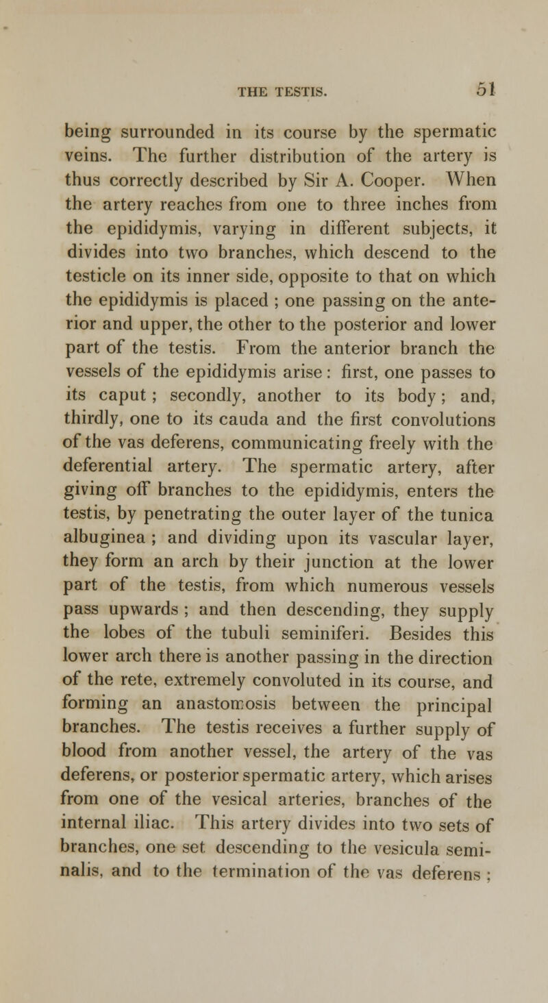 being surrounded in its course by the spermatic veins. The further distribution of the artery is thus correctly described by Sir A. Cooper. When the artery reaches from one to three inches from the epididymis, varying in different subjects, it divides into two branches, which descend to the testicle on its inner side, opposite to that on which the epididymis is placed ; one passing on the ante- rior and upper, the other to the posterior and lower part of the testis. From the anterior branch the vessels of the epididymis arise: first, one passes to its caput; secondly, another to its body; and, thirdly, one to its cauda and the first convolutions of the vas deferens, communicating freely with the deferential artery. The spermatic artery, after giving off branches to the epididymis, enters the testis, by penetrating the outer layer of the tunica albuginea ; and dividing upon its vascular layer, they form an arch by their junction at the lower part of the testis, from which numerous vessels pass upwards ; and then descending, they supply the lobes of the tubuli seminiferi. Besides this lower arch there is another passing in the direction of the rete, extremely convoluted in its course, and forming an anastomosis between the principal branches. The testis receives a further supply of blood from another vessel, the artery of the vas deferens, or posterior spermatic artery, which arises from one of the vesical arteries, branches of the internal iliac. This artery divides into two sets of branches, one set descending to the vesicula semi- nalis, and to the termination of the vas deferens ;