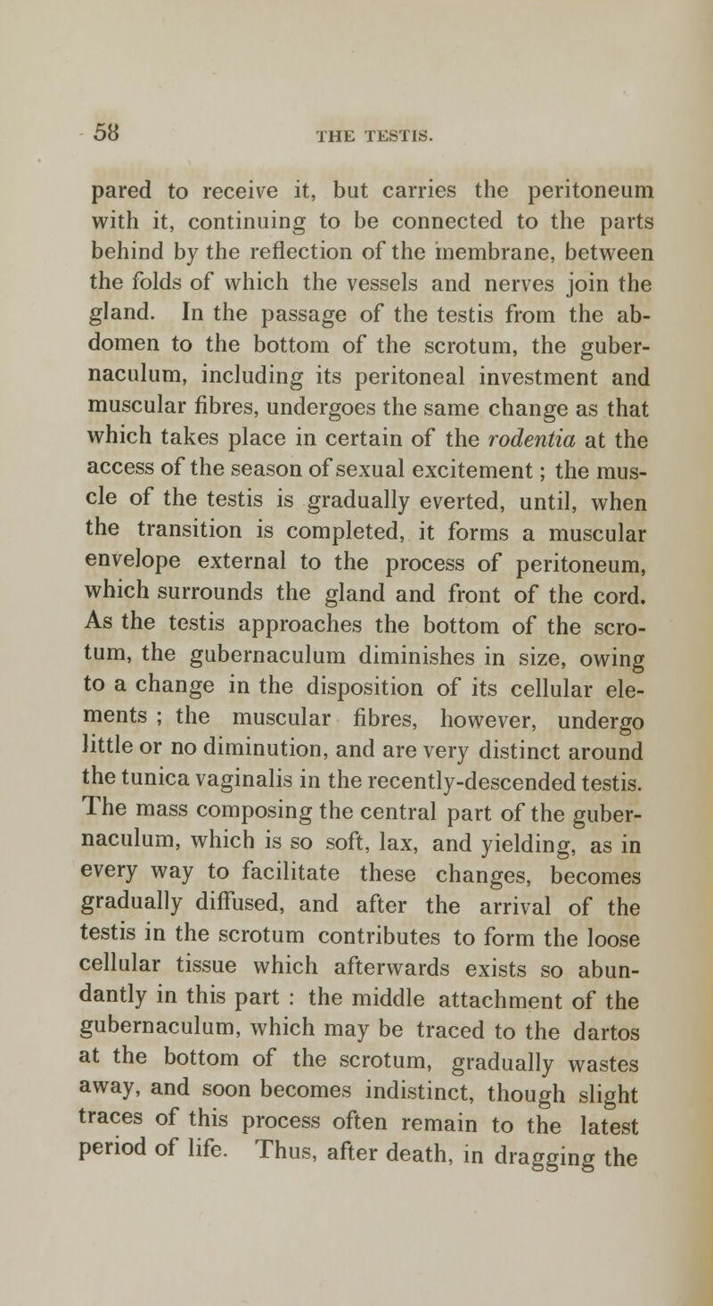 pared to receive it, but carries the peritoneum with it, continuing to be connected to the parts behind by the reflection of the membrane, between the folds of which the vessels and nerves join the gland. In the passage of the testis from the ab- domen to the bottom of the scrotum, the guber- naculum, including its peritoneal investment and muscular fibres, undergoes the same change as that which takes place in certain of the rodentia at the access of the season of sexual excitement; the mus- cle of the testis is gradually everted, until, when the transition is completed, it forms a muscular envelope external to the process of peritoneum, which surrounds the gland and front of the cord. As the testis approaches the bottom of the scro- tum, the gubernaculum diminishes in size, owing to a change in the disposition of its cellular ele- ments ; the muscular fibres, however, undergo little or no diminution, and are very distinct around the tunica vaginalis in the recently-descended testis. The mass composing the central part of the guber- naculum, which is so soft, lax, and yielding, as in every way to facilitate these changes, becomes gradually diffused, and after the arrival of the testis in the scrotum contributes to form the loose cellular tissue which afterwards exists so abun- dantly in this part : the middle attachment of the gubernaculum, which may be traced to the dartos at the bottom of the scrotum, gradually wastes away, and soon becomes indistinct, though slight traces of this process often remain to the latest period of life. Thus, after death, in dragging the