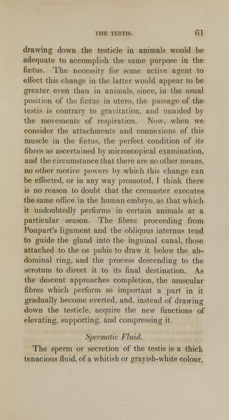 drawing down the testicle in animals would be adequate to accomplish the same purpose in the fcetus. The necessity for some active agent to effect this change in the latter would appear to be greater even than in animals, since, in the usual position of the fcetus in utero, the passage of the testis is contrary to gravitation, and unaided by the movements of respiration. Now, when we consider the attachments and connexions of this muscle in the fcetus, the perfect condition of its fibres as ascertained by microscopical examination, and the circumstance that there are no other means, no other motive powers by which this change can be effected, or in any way promoted, I think there is no reason to doubt that the cremaster executes the same office in the human embryo, as that which it undoubtedly performs in certain animals at a particular season. The fibres proceeding from Poupart's ligament and the obliquus internus tend to guide the gland into the inguinal canal, those attached to the os pubis to draw it below the ab- dominal ring, and the process descending to the scrotum to direct it to its final destination. As the descent approaches completion, the muscular fibres which perform so important a part in it gradually become everted, and, instead of drawing down the testicle, acquire the new functions of elevating, supporting, and compressing it. Spermatic Fluid. The sperm or secretion of the testis is a thick tenacious fluid, of a whitish or grayish-white colour,