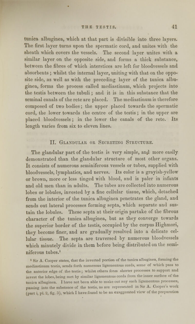 tunica albuginea, which at that part is divisible into three layers. The first layer turns upon the spermatic cord, and unites with the sheath which covers the vessels. The second layer unites with a similar layer on the opposite side, and forms a thick substance, between the fibres of which interstices are left for bloodvessels and absorbents ; whilst the internal layer, uniting with that on the oppo- site side, as well as with the preceding layer of the tunica albu- ginea, forms the process called mediastinum, which projects into the testis between the tubuli; and it is in this substance that the seminal canals of the rete are placed. The mediastinum is therefore composed of two bodies; the upper placed towards the spermatic cord, the lower towards the centre of the testis ; in the upper are placed bloodvessels ; in the lower the canals of the rete. Its length varies from six to eleven lines. II. Glandular or Secreting Structure. The glandular part of the testis is very simple, an^l more easily demonstrated than the glandular structure of most other organs. It consists of numerous seminiferous vessels or tubes, supplied with bloodvessels, lymphatics, and nerves. Its color is a grayish-yellow or brown, more or less tinged with blood, and is paler in infants and old men than in adults. The tubes are collected into numerous lobes or lobules, invested by a fine cellular tissue, which, detached from the interior of the tunica albuginea penetrates the gland, and sends out lateral processes forming septa, which separate and sus- tain the lobules. These septa at their origin partake of the fibrous character of the tunica albuginea, but as they converge towards the superior border of the testis, occupied by the corpus Highmori, they become finer, and are gradually resolved into a delicate cel- lular tissue. The septa are traversed by numerous bloodvessels which minutely divide in them before being distributed on the semi- niferous tubes.1 1 Sir A. Cooper states, that the inverted portion of the tunica albuginea, forming the mediastinum testis, sends forth numerous ligamentous cords, some of which pass to the anterior edge of the testis ; whilst others form shorter processes to support and invest the lobes, being met by similar ligamentous cords from the inner surface of the tunica albuginea. I have not been able to make out any such ligamentous processes, passing into the substance of the testis, as are represented in Sir A. Cooper's work (part i, pi. 2, fig. 3), which I have found to be an exaggerated view of the preparation