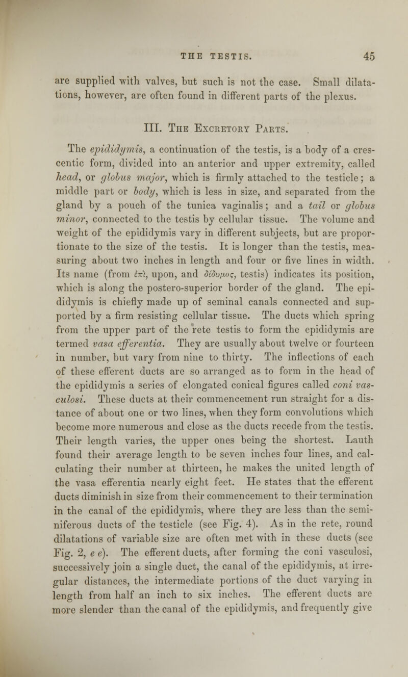 are supplied with valves, but such is not the case. Small dilata- tions, however, are often found in different parts of the plexus. III. The Excretory Parts. The epididymis, a continuation of the testis, is a body of a cres- centic form, divided into an anterior and upper extremity, called head, or globus major, which is firmly attached to the testicle; a middle part or body, which is less in size, and separated from the gland by a pouch of the tunica vaginalis; and a tail or globus minor, connected to the testis by cellular tissue. The volume and weight of the epididymis vary in different subjects, but are propor- tionate to the size of the testis. It is longer than the testis, mea- suring about two inches in length and four or five lines in width. Its name (from hil, upon, and diduftos, testis) indicates its position, which is along the postero-superior border of the gland. The epi- didymis is chiefly made up of seminal canals connected and sup- ported by a firm resisting cellular tissue. The ducts which spring from the upper part of the rete testis to form the epididymis are termed vasa efferentia. They are usually about twelve or fourteen in number, but vary from nine to thirty. The inflections of each of these efferent ducts are so arranged as to form in the head of the epididymis a series of elongated conical figures called coni vas- culosi. These ducts at their commencement run straight for a dis- tance of about one or two lines, when they form convolutions which become more numerous and close as the ducts recede from the testis. Their length varies, the upper ones being the shortest. Lauth found their average length to be seven inches four lines, and cal- culating their number at thirteen, he makes the united length of the vasa efferentia nearly eight feet. He states that the efferent ducts diminish in size from their commencement to their termination in the canal of the epididymis, where they are less than the semi- niferous ducts of the testicle (see Fig. 4). As in the rete, round dilatations of variable size are often met with in these ducts (see Fig. 2, e e). The efferent ducts, after forming the coni vasculosi, successively join a single duct, the canal of the epididymis, at irre- gular distances, the intermediate portions of the duct varying in length from half an inch to six inches. The efferent ducts are more slender than the canal of the epididymis, and frequently give