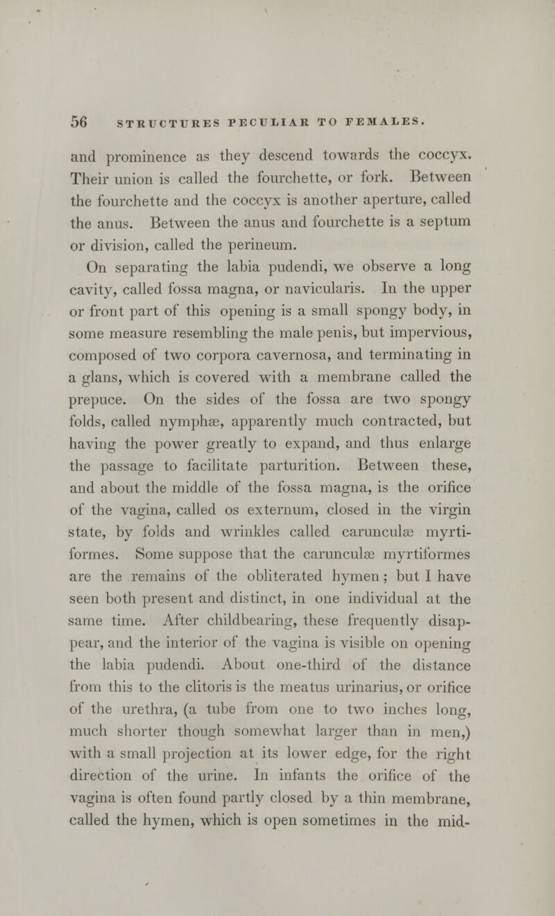 and prominence as they descend towards the coccyx. Their union is called the fourchette, or fork. Between the fourchette and the coccyx is another aperture, called the anus. Between the anus and fourchette is a septum or division, called the perineum. On separating the labia pudendi, we observe a long cavity, called fossa magna, or navicularis. In the upper or front part of this opening is a small spongy body, in some measure resembling the male penis, but impervious, composed of two corpora cavernosa, and terminating in a glans, which is covered with a membrane called the prepuce. On the sides of the fossa are two spongy folds, called nymphac, apparently much contracted, but having the power greatly to expand, and thus enlarge the passage to facilitate parturition. Between these, and about the middle of the fossa magna, is the orifice of the vagina, called os externum, closed in the virgin state, by folds and wrinkles called caruncula3 myrti- formes. Some suppose that the carunculse myrtiformes are the remains of the obliterated hymen; but I have seen both present and distinct, in one individual at the same time. After childbearing, these frequently disap- pear, and the interior of the vagina is visible on opening the labia pudendi. About one-third of the distance from this to the clitoris is the meatus urinarius, or orifice of the urethra, (a tube from one to two inches long, much shorter though somewhat larger than in men,) with a small projection at its lower edge, for the right direction of the urine. In infants the orifice of the vagina is often found partly closed by a thin membrane, called the hymen, which is open sometimes in the mid-