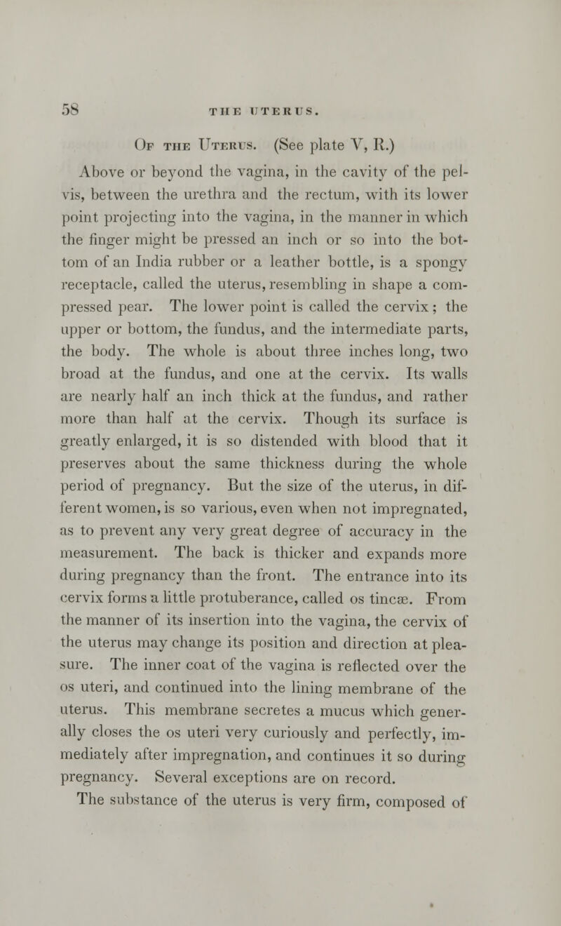 Of the Uterus. (See plate V, 11.) Above or beyond the vagina, in the cavity of the pel- vis, between the urethra and the rectum, with its lower point projecting into the vagina, in the manner in which the finger might be pressed an inch or so into the bot- tom of an India rubber or a leather bottle, is a spongy receptacle, called the uterus, resembling in shape a com- pressed pear. The lower point is called the cervix; the upper or bottom, the fundus, and the intermediate parts, the body. The whole is about three inches long, two broad at the fundus, and one at the cervix. Its walls are nearly half an inch thick at the fundus, and rather more than half at the cervix. Though its surface is greatly enlarged, it is so distended with blood that it preserves about the same thickness during the whole period of pregnancy. But the size of the uterus, in dif- ferent women, is so various, even when not impregnated, as to prevent any very great degree of accuracy in the measurement. The back is thicker and expands more during pregnancy than the front. The entrance into its cervix forms a little protuberance, called os tincae. From the manner of its insertion into the vagina, the cervix of the uterus may change its position and direction at plea- sure. The inner coat of the vagina is reflected over the os uteri, and continued into the lining membrane of the uterus. This membrane secretes a mucus which gener- ally closes the os uteri very curiously and perfectly, im- mediately after impregnation, and continues it so during pregnancy. Several exceptions are on record. The substance of the uterus is very firm, composed of