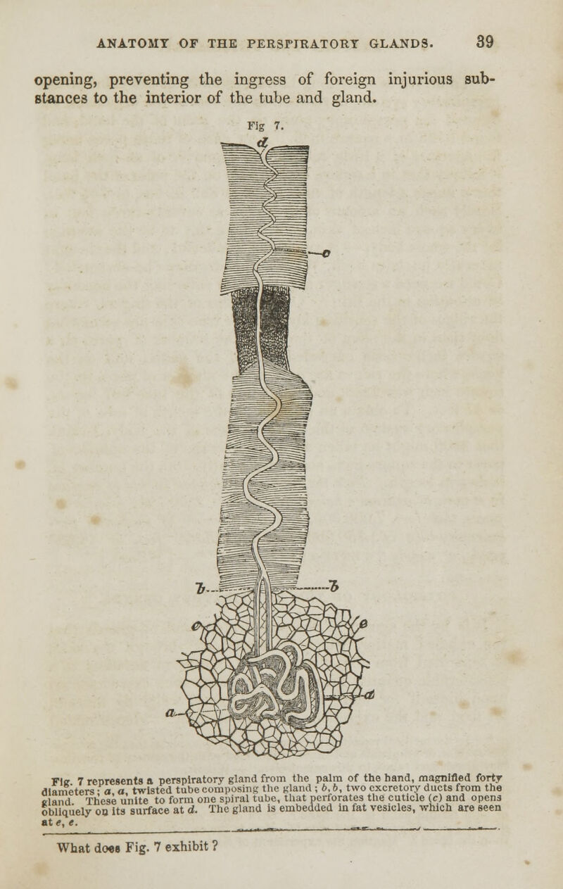 opening, preventing the ingress of foreign injurious sub- stances to the interior of the tube and gland. —J& Fie 7 represents ft perspiratory gland from the palm of the hand, magnified forty diameters a a twisted tube composing the gland ; 6, b, two excretory ducts from the eland These unite to form one spiral tube, that perforates the cuticle (c) and opens obliquely on its surface at d. The gland is embedded in fat vesicles, which are seen **«>*• What do«B Fig. 7 exhibit ?