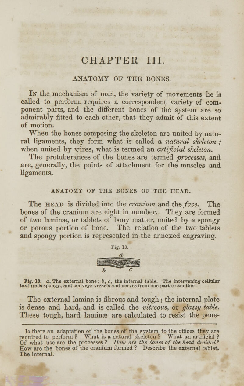 CHAPTER III. ANATOMY OF THE BONES. In the mechanism of man, the variety of movements he is called to perform, requires a correspondent variety of com- ponent parts, and the different bones of the system are so admirably fitted to each other, that they admit of this extent of motion. When the bones composing the skeleton are united by natu- ral ligaments, they form what is called a natural skeleton; when united by vires, what is termed an artificial skeleton. The protuberances of the bones are termed processes, and are, generally, the points of attachment for the muscles and ligaments. ANATOMY OF THE BONES OF THE HEAD. The head is divided into the cranium and the face. The bones of the cranium are eight in number. They are formed of two laminae, or tablets of bony matter, united by a spongy or porous portion of bone. The relation of the two tablets and spongy portion is represented in the annexed engraving. Fig. 13. a. The external bone ; b, c, the Internal table. The Intervening cellular texture Is spongy, and conveys vessels and nerves from one part to another. The external lamina is fibrous and tough; the internal plate is dense and hard, and is called the vitreous, or glassy table. These tough, hard laminas are calculated to resist the pene- Is there an adaptation of the bones of the system to the offices they are required to perform ? What is a natural skeleton V What an artificial ? Of what use are the processes? How are the bones of the head divided? How are the bones of the cranium formed ? Describe the external tablet. The internal.