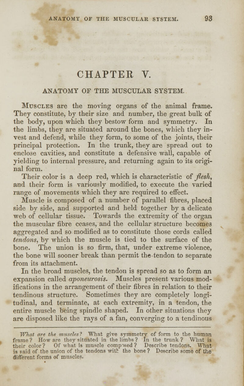 CHAPTER V. ANATOMY OF THE MUSCULAE SYSTEM. Muscles are the moving organs of the animal frame. They constitute, by their size and number, the great bulk of the body, upon which they bestow form and symmetry. In the limbs, they are situated around the bones, which they in- vest and defend, while they form, to some of the joints, their principal protection. In the trunk, they are spread out to enclose cavities, and constitute a defensive wall, capable of yielding to internal pressure, and returning again to its origi- nal form. Their color is a deep red, which is characteristic of flesh, and their form is variously modified, to execute the varied range of movements which they are required to effect. Muscle is composed of a number of parallel fibres, placed side by side, and supported and held together by a delicate web of cellular tissue. Towards the extremity of the organ the muscular fibre ceases, and the cellular structure becomes aggregated and so modified as to constitute those cords called tendons, by which the muscle is tied to the surface of the bone. The union is so firm, that, under extreme violence, the bone will sooner break than permit the tendon to separate from its attachment. In the broad muscles, the tendon is spread so as to form an expansion called aponeurosis. Muscles present various mod- ifications in the arrangement of their fibres in relation to their tendinous structure. Sometimes they are completely longi- tudinal, and terminate, at each extremity, in a tendon, the entire muscle being spindle shaped. In other situations they are disposed like the rays of a fan, converging to a tendinous What are the muscles? What give symmetry of form to the human frame ? How are they situated in the limbs ? In the trunk ? What is their color? Of what is muscle composed? Describe tendons. What is paid of the union of the tendons with the bone? Describe some of the different forms of muscles.