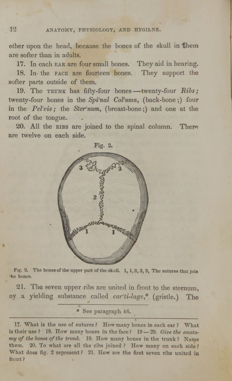 other upon the head, because the bones of the skull in them are softer than in adults. 17. In each ear are four small bones. They aid in hearing. 18. In the face are fourteen bones. They support the softer parts outside of them. 19. The trunk has fifty-four bones — twenty-four Ribs; twenty-four bones in the Spi'nal Col'umn, (back-bone;) four in the Pelvis; the Ster'num, (breast-bone;) and one at the root of the tongue. 20. All the ribs are joined to the spinal column. There are twelve on each side. Fig. 2. Fig. 2. The bones of the upper part of the skull. 1, 1,2, 3, 3, The sutures that join tie bones. 21. The seven upper ribs are united in front to the sternum, Dy a yielding substance called car'ti-lage,* (gristle.) The * See paragraph. 46. 17. What is the use of sutures ? How many bones in each ear ? What is their use? 18. How many bones in the face? 19 — 29. Give the anato- my of the bones of the trunk. 19. How many bones in the trunk? Name them. 20. To what are all the ribs joined ? How many on each side ? What does fig. 2 represent ? 21. How are the first seven ribs united in front ?