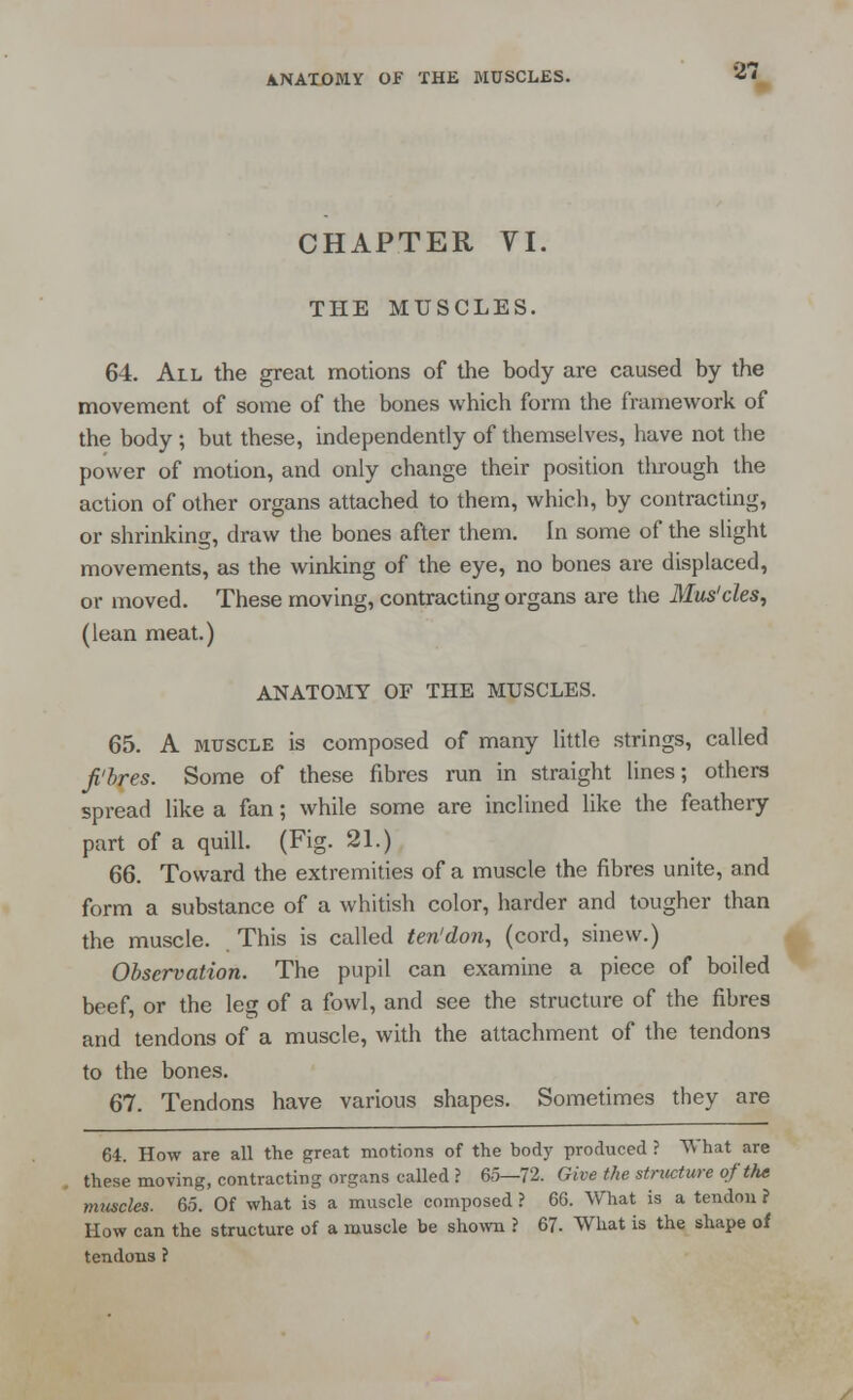 CHAPTER VI. THE MUSCLES. 64. All the great motions of the body are caused by the movement of some of the bones which form the framework of the body ; but these, independently of themselves, have not the power of motion, and only change their position through the action of other organs attached to them, which, by contracting, or shrinking, draw the bones after them. In some of the slight movements, as the winking of the eye, no bones are displaced, or moved. These moving, contracting organs are the Mus'cles, (lean meat.) ANATOMY OF THE MUSCLES. 65. A muscle is composed of many little strings, called fibres. Some of these fibres run in straight lines; others spread like a fan; while some are inclined like the feathery part of a quill. (Fig. 21.) 66. Toward the extremities of a muscle the fibres unite, and form a substance of a whitish color, harder and tougher than the muscle. This is called ten1 don, (cord, sinew.) Observation. The pupil can examine a piece of boiled beef, or the lee of a fowl, and see the structure of the fibres and tendons of a muscle, with the attachment of the tendons to the bones. 67. Tendons have various shapes. Sometimes they are 64. How are all the great motions of the body produced ? What are these moving, contracting organs called ? 65—72. Give the structure of the muscles. 6.5. Of what is a muscle composed ? 66. What is a tendon ? How can the structure of a muscle be shown ? 67. What is the shape of tendons ?