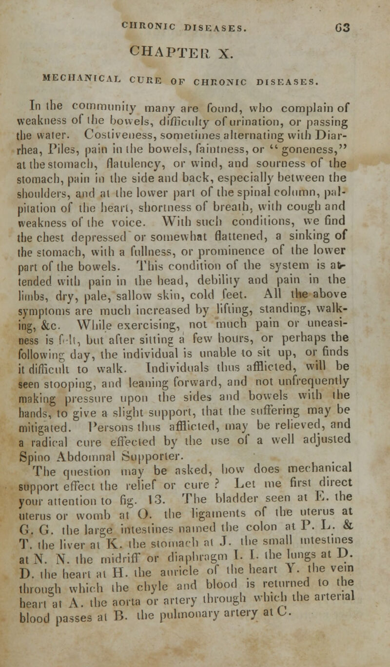 CHAPTER, X. MECHANICAL CURE OF CHRONIC DISEASES. In the community many are found, who complain of weakness of the bowels, difficulty of urination, or passing the water. Costiveness, sometimes alternating with Diar- rhea, Piles, pain in the bowels, faintness, or goneness, at the stomach, flatulency, or wind, and sourness of the stomach, pain in the side and back, especially between the shoulders, and at the lower part of the spinal column, pal- pitation of the heart, shortness of breath, with cough and weakness of the voice. With such conditions, we find the chest depressed or somewhat flattened, a sinking of the stomach, with a fullness, or prominence of the lower part of the bowels. This condition of the system is atr tended with pain in the head, debility and pain in the limbs, dry, pale, sallow skin, cold feet. All the above symptoms are much increased by lifting, standing, walk- ing, &c While exercising, not much pain or uneasi- ness is Ml, but after sitting a few hours, or perhaps the following day, the individual is unable to sit up, or finds it difficult to walk. Individuals thus afflicted, will be seen stooping, and leaning forward, and not unfrequently making pressure upon the sides and bowels with the hands, to give a slight support, that the suffering may be mitigated. Persons thus afflicted, may be relieved, and a radical cure effected by the use of a well adjusted Spino Abdomnal Supporter. The question may be asked, how does mechanical support effect the relief or cure ? Let me first direct your attention to fig. 13. The bladder seen at E. the uterus or womb at O. the ligaments of the uterus at G. G. the large intestines named the colon at P. L. & T. the liver at K. the stomach at J. the small intestines at N. N. the midriff or diaphragm I. I. the lungs at D. D. the heart at H. the auricle of the heart Y. the vein through which the chyle and blood is returned to the heart at A. the aorta or artery through which the arterial blood passes at B. the pulmonary artery at C.