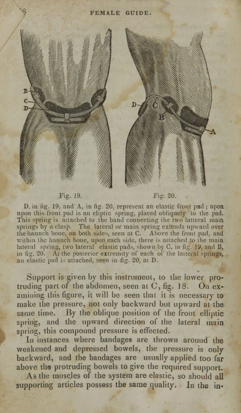 D, in fig. 19,. and A, in fig. 20, represent an elastic front pad ; upon upon this front pad is an eliptic spring, placed obliquely to the pad. This spring is attached to the band connecting the two latleral main springs by a clasp. The lateral or main spring extends upward over the haunch bone, on both sides, seen at C. Above the front pad, and within the haunch bone, upon each side, there is attached to the main lateral spring, iwo lateral elastic pads, shown by C. in fig. 19, and B, in fig. 20. At the posterior extremity of each of the lalteral springs, an elastic pad is attached, seen in fig. 20, at D. Support is given by this instrument, to the lower pro- truding part of the abdomen, seen at C, fig. ]S. On ex- amining this figure, it will be seen that it is necessary to make the pressure, not only backward but upward at the same time. By the oblique position of the front elliptic spring, and the upward direction of the lateral main spring, this compound pressure is effected. In instances where bandages are thrown around the weakened and depressed bowels, the pressure is only- backward, and the bandages are usually applied too far above the protruding bowels to give the required support. As the muscles of the system are elastic, so should all supporting articles possess the same quality. In the in-