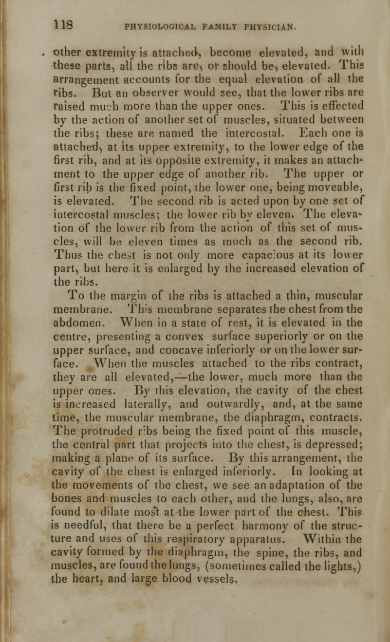 other extremity is attached, become elevated, and with these parts, all the ribs are,, or should be, elevated. This arrangement accounts for the equal elevation of all the fibs. But an observer would see, that the lower ribs are raised much more than the upper ones. This is effected by the action of another set of muscles, situated between the ribs; these are named the intercostal. Each one is attached, at its upper extremity, to the lower edge of the first rib, and at its opposite extremity, it makes an attach- ment to the upper edge of another rib. The upper or first rib is the fixed point, the lower one, being moveable, is elevated. The second rib is acted upon by one set of intercostal muscles; the lower rib by eleven. The eleva- tion of the lower rib from the action of this set of mus- cles, will be eleven times as much as the second rib. Thus the client is not only more capacious at its lower part, but here it is enlarged by the increased elevation of the ribs. To the margin of the ribs is attached a thin, muscular membrane. This membrane separates the chest from the abdomen. When in a state of rest, it is elevated In the centre, presenting a convex surface superiorly or on the upper surface, and concave inferiorly or on the lower sur- face. When the muscles attached to the ribs contract, they are all elevated,—the lower, much more than the upper ones. By this elevation, the cavity of the chest is increased laterally, and outwardly, and, at the same time, the muscular membrane, the diaphragm, contracts. The protruded ribs being the fixed point of this muscle, the central part that projects into the chest, is depressed; making a plane of its surface. By this arrangement, the cavity of the chest is enlarged inferiorly. In looking at the movements of the chest, we see an adaptation of the bones and muscles to each other, and the lungs, also, are found to dilate mo si at the lower part of the chest. This is needful, that there be a perfect harmony of the struc- ture and uses of this respiratory apparatus. Within the cavity formed by the diaphragm, the spine, the ribs, and muscles, are found the lungs, (sometimes called the lights,) the heart, and large blood vessels.