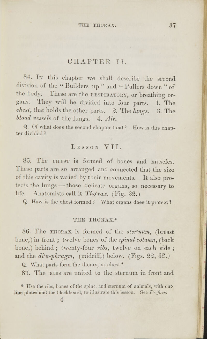 CHAPTER II. 84. In this chapter we shall describe the second division of the Builders up  and  Pullers down of the body. These are the respiratory, or breathing or- gans. They will be divided into four parts. 1. The chest, that holds the other parts. 2. The lungs. 3. The blood vessels of the lungs. 4. Air. Q. Of what does the second chapter treat 1 How is this chap- ter divided? Lesson VII. 85. The chest is formed of bones and muscles. These parts are so arranged and connected that the size of this cavity is varied by their movements. It also pro- tects the lungs — those delicate organs, so necessary to life. Anatomists call it Tho'rax. (Fig. 32.) Q. How is the chest formed ? What organs does it protect ? THE THOKAX* 86. The thorax is formed of the ster'num, (breast bone,) in front ; twelve bones of the spinal column, (back bone,) behind ; twenty-four ribs, twelve on each side ; and the di'a-phragm, (midriff,) below. (Figs. 22, 32.) Q. What parts form the thorax., or chest 1 87. The ribs are united to the sternum in front and * Use the ribs, bones of the spine, and sternum of animals, with out- line plates and the blackboard, to illustrate this ksson. Sec Preface. 4