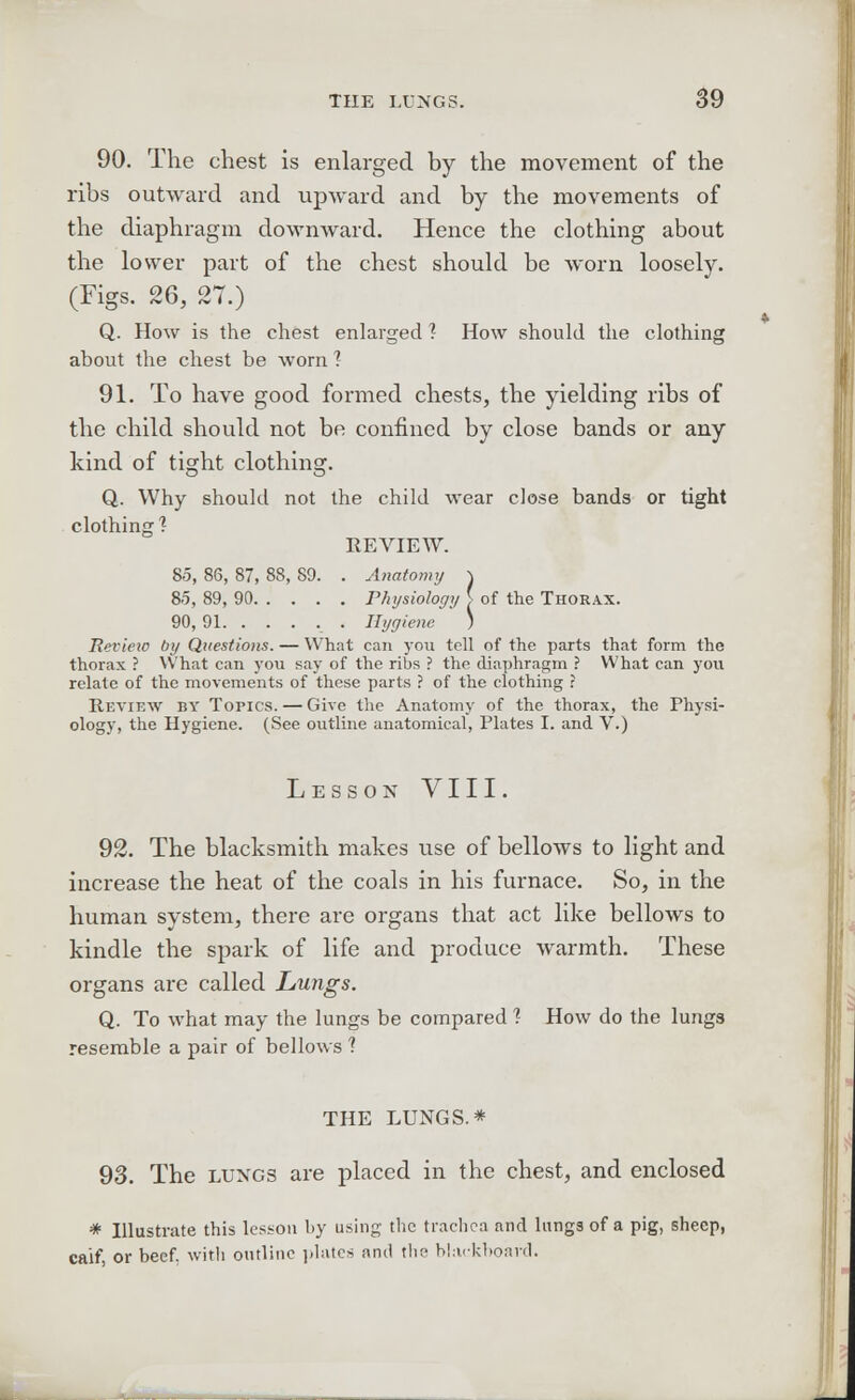 90. The chest is enlarged by the movement of the ribs outward and upward and by the movements of the diaphragm downward. Hence the clothing about the lower part of the chest should be worn loosely. (Figs. 26, 27.) Q. How is the chest enlarged ? How should the clothing about the chest be worn 1 91. To have good formed chests, the yielding ribs of the child should not be confined by close bands or any kind of tight clothing. Q. Why should not the child wear close bands or tight clothing? REVIEW. 85, 86, 87, 88, 89. . Anatomy \ 85, 89, 90 Physiology \ of the Thorax. 90, 91 Hygiene ) Revieio by Questions. — What can you tell of the parts that form the thorax ? What can you say of the ribs ? the diaphragm ? What can you relate of the movements of these parts ? of the clothing ? Review by Topics. — Give the Anatomy of the thorax, the Physi- ology, the Hygiene. (See outline anatomical, Plates I. and V.) Lesson VIII. 92. The blacksmith makes use of bellows to light and increase the heat of the coals in his furnace. So, in the human system, there are organs that act like bellows to kindle the spark of life and produce warmth. These organs are called Lungs. Q. To what may the lungs be compared ? How do the lungs resemble a pair of bellows ? THE LUNGS.* 93. The lungs are placed in the chest, and enclosed * Illustrate this lesson by using the trachea and lungs of a pig, sheep, caif, or beef with outline plates and the blackboard.