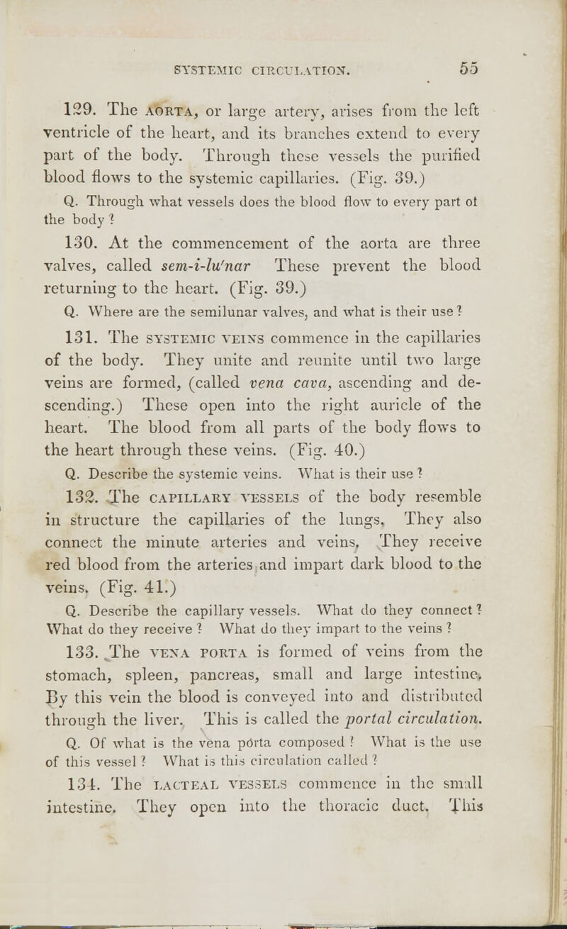 129. The aorta, or large artery, arises from the left ventricle of the heart, and its branches extend to every part of the body. Through these vessels the purified blood flows to the systemic capillaries. (Fig. 39.) Q. Through what vessels does the blood flow to every part ot the body 1 130. At the commencement of the aorta are three valves, called sem-i-lu'nar These prevent the blood returning to the heart. (Fig. 39.) Q. Where are the semilunar valves, and what is their use 1 131. The systemic veins commence in the capillaries of the body. They unite and reunite until two large veins are formed, (called vena cava, ascending and de- scending.) These open into the right auricle of the heart. The blood from all parts of the body flows to the heart through these veins. (Fig. 40.) Q. Describe the systemic veins. What is their use ? 132. The capillary vessels of the body resemble in structure the capillaries of the lungs. They also connect the minute arteries and veins. They receive red blood from the arteries and impart dark blood to the veins. (Fig. 41.) Q. Describe the capillary vessels. What do they connect 1 What do they receive ? What do they impart to the veins ? 133. .The vena porta is formed of veins from the stomach, spleen, pancreas, small and large intestine. By this vein the blood is conveyed into and distributed through the liver. This is called the portal circulation. Q. Of what is the vena porta composed \ What is the use of this vessel ? What is this circulation called ? 134. The lacteal vessels commence in the small intestine. They open into the thoracic duct. This