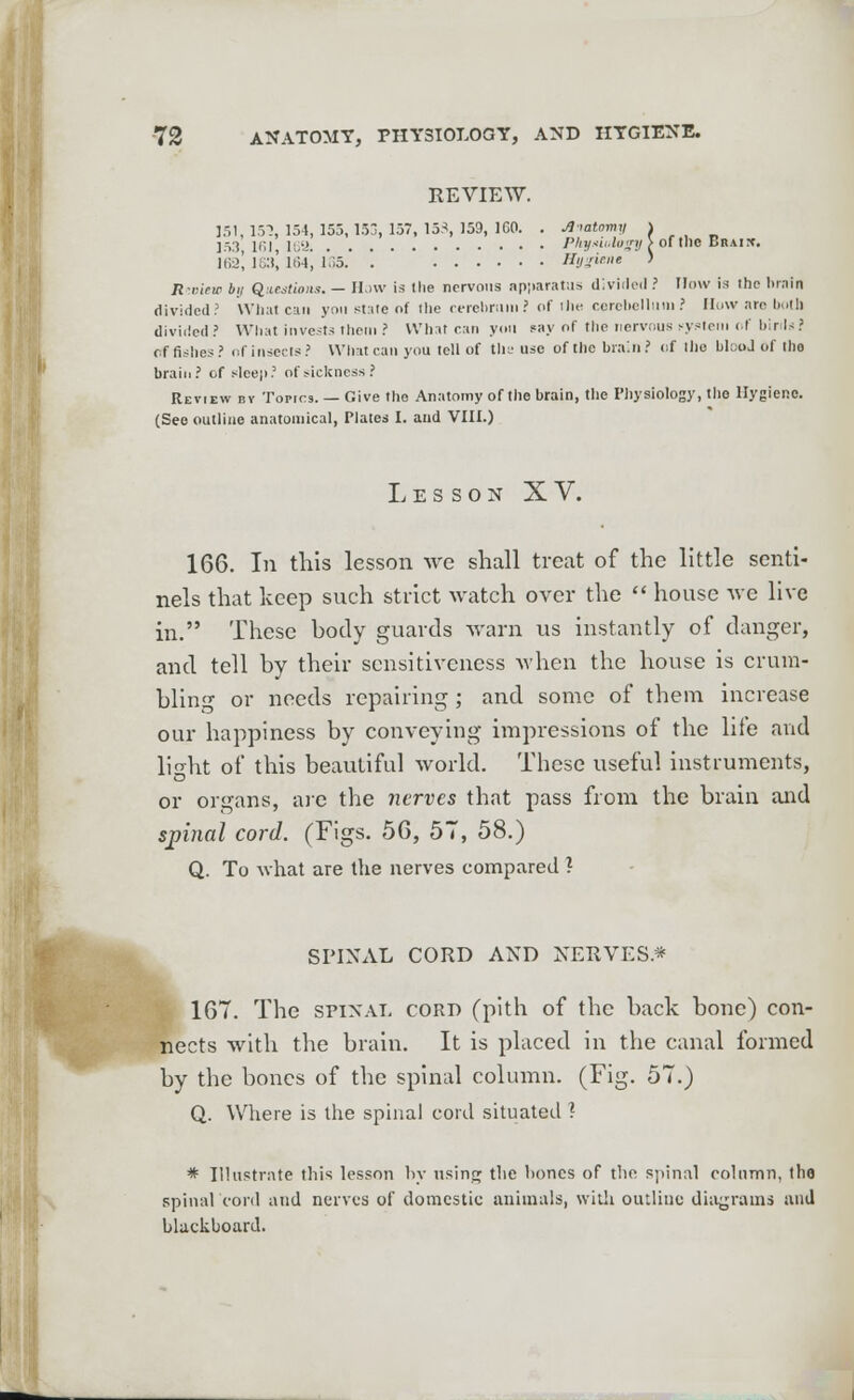 REVIEW. 151 IV, 154, 155, 153, 157, 1551, 159, 1G0. . Jl-mtarmj > 153 161 16U Phyxiulagy > of the Brais. I62J 183* It>4, 185. '. Hygiene ) n-rinc by Questions. — How is the nervous apparatus divided ? How is the brain divided? What can you state of the cerebrum? of Hie cerebellum? How arc both divided? What invests them ? What can you say of the nervous system of birds ? of fishes? of insects? What can you tell of the use of the brain? of the blood of the brain? cf sleep? of sickness? Review by Topics. — Give the Anatomy of the brain, the Physiology, the Hygiene. (See outline anatomical, Plates I. and VIII.) Lesson XV. 166. In this lesson we shall treat of the little senti- nels that keep such strict watch over the  house Ave live in. These body guards warn us instantly of danger, and tell by their sensitiveness when the house is crum- bling or needs repairing ; and some of them increase our happiness by conveying impressions of the liie and lioKt of this beautiful world. These useful instruments, or organs, are the nerves that pass from the brain and spinal cord. (Figs. 56, 57, 58.) Q. To what are the nerves compared ? SPINAL CORD AND NERVES* 167. The spinal cord (pith of the back bone) con- nects with the brain. It is placed in the canal formed by the bones of the spinal column. (Fig. 57.) Q. Where is the spinal cord situated ? * Illustrate this lesson by vising tlie bones of the spinal column, thfl spinal cord and nerves of domestic animals, with outline diagrams and blackboard.