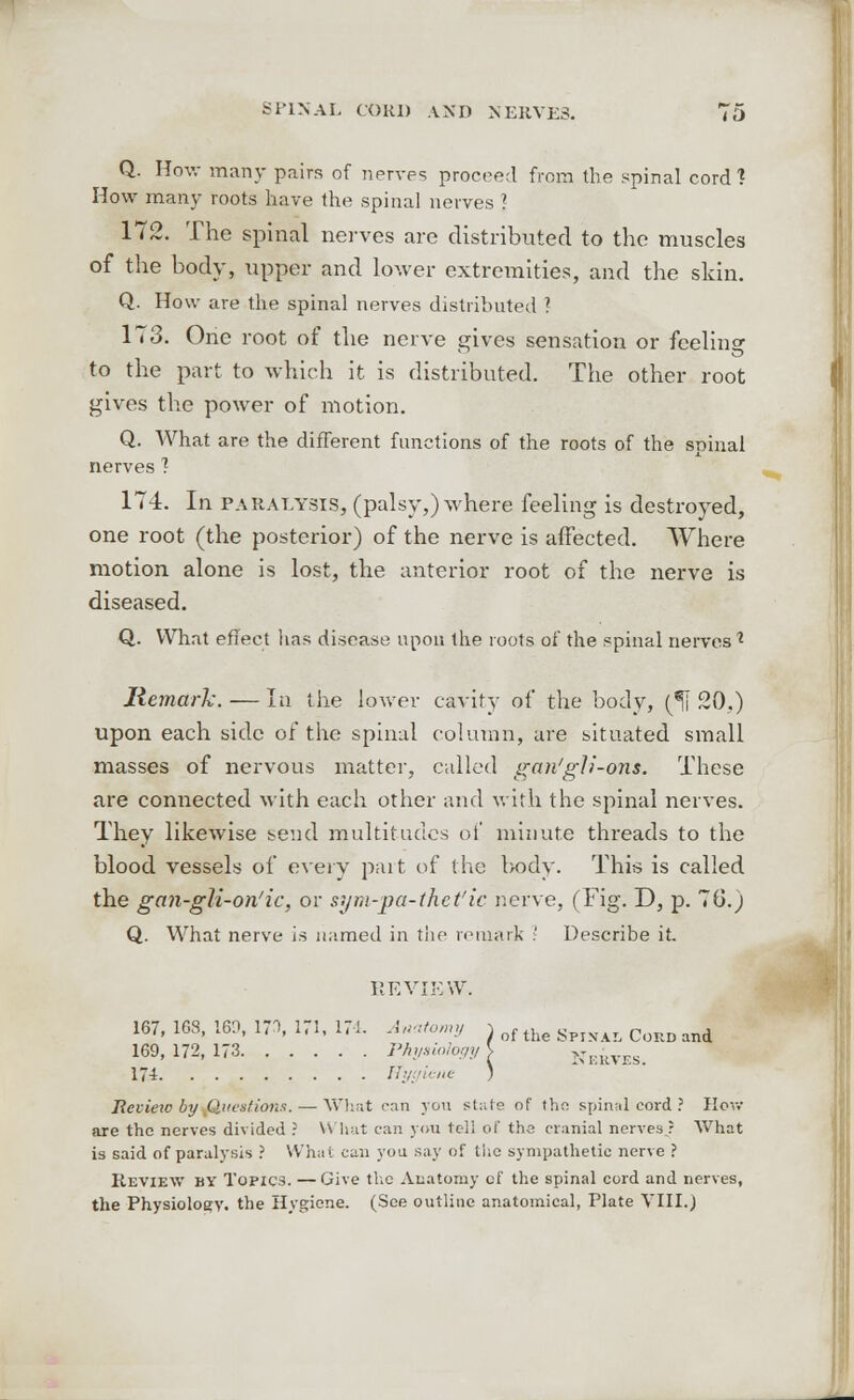 Q. How many pairs of nerves proceed from the spinal cord? How many roots have the spinal nerves } 172. The spinal nerves are distributed to the muscles of the body, upper and lower extremities, and the skin. Q. How are the spinal nerves distributed ? 173. One root of the nerve gives sensation or feeling to the part to which it is distributed. The other root gives the power of motion. Q. What are the different functions of the roots of the spinal nerves 1 174. In paralysis, (palsy,) where feeling is destroyed, one root (the posterior) of the nerve is affected. Where motion alone is lost, the anterior root of the nerve is diseased. Q. What effect has disease upon the roots of the spinal nerves'* Remark. — In the lower cavity of the body, (^ 20.) upon each side of the spinal column, are situated small masses of nervous matter, called gan'gli-ons. These are connected with each other and with the spinal nerves. They likewise send multitudes of minute threads to the blood vessels of every part of the body. This is called the gan-gli-on'ic, or sym-pa-thet'ic nerve, (Fig. D, p. 70.; Q. What nerve is named in the remark ' Describe it. REVIEW. 167, 168, 160, 17% 171, 171. Anatomy , of the gplNAL CoRD and 169, 172, 173 Physiology \ 174 Hygiene ) NERVES. Review by Questions. — What can you state of tho spin;il cord ? How are the nerves divided ? What can you tell of the cranial nerves? What is said of paralysis ? What can you say of the sympathetic nerve ? Review by Topics. — Give the Anatomy cf the spinal cord and nerves, the Physiology, the Hygiene. (See outline anatomical, Plate VIII.)
