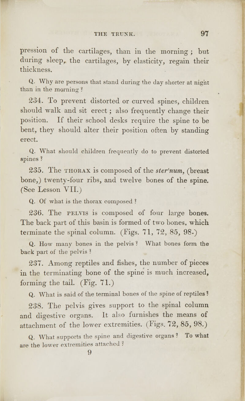 pression of the cartilages, than in the morning ; but during sleep,, the cartilages, by elasticity, regain their thickness. Q. Why are persons that stand during the day shorter at night than in the morning? 234. To prevent distorted or curved spines, children should walk and sit erect; also frequently change their position. If their school desks require the spine to be bent, they should alter their position often by standing erect. Q. What should children frequently do to prevent distorted spines ? 235. The thorax is composed of the ster'num, (breast bone,) twenty-four ribs, and twelve bones of the spine. (See Lesson VII.) Q. Of what is the thorax composed ? 236. The pelvis is composed of four large bones. The back part of this basin is formed of two bones, which terminate the spinal column. (Figs. 71, 72, 85, 98.) Q. How many bones in the pelvis ? What bones form the back part of the pelvis ? 237. Among reptiles and fishes, the number of pieces in the terminating bone of the spine is much increased, forming the tail. (Fig. 71.) Q. What is said of the terminal bones of the spine of reptiles? 238. The pelvis gives support to the spinal column and digestive organs. It also furnishes the means of attachment of the lower extremities. (Figs. 72, 85, 98.) Q. What supports the spine and digestive organs? To what are the lower extremities attached ? 9