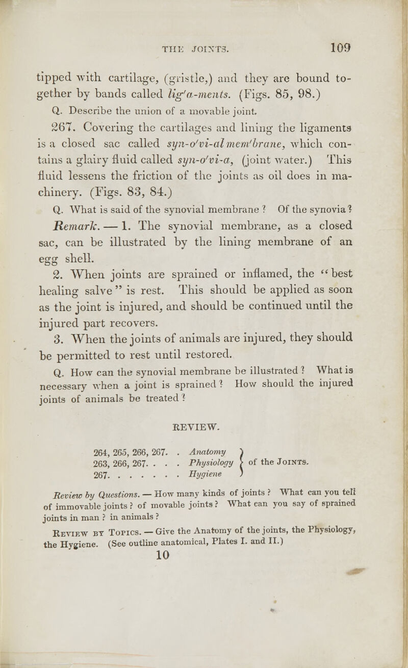 tipped with cartilage, (gristle,) and they are bound to- gether by bands called lig'a-ments. (Figs. 85, 98.) Q. Describe the union of a movable joint. 287. Covering the cartilages and lining the ligaments is a closed sac called syn-o'vi-almem'hrane, which con- tains a glairy fluid called syn-o'vi-a, (joint water.) This fluid lessens the friction of the joints as oil does in ma- chinery. (Figs. 83, 84.) Q. What is said of the synovial membrane ? Of the synovia? Remark. — 1. The synovial membrane, as a closed sac, can be illustrated by the lining membrane of an egg shell. 2. When joints are sprained or inflamed, the best healing salve  is rest. This should be applied as soon as the joint is injured, and should be continued until the injured part recovers. 3. When the joints of animals are injured, they should be permitted to rest until restored. Q. How can the synovial membrane be illustrated 1 What ia necessary when a joint is sprained 1 How should the injured joints of animals be treated ? REVIEW. 264, 265, 266, 267. . Anatomy ~l 263, 266, 267. . . . Physiology > of the Joints. 267 Hygiene ) Review by Questions. — How many kinds of joints ? What can you tell of immovable joints ? of movable joints ? What can you say of sprained joints in man ? in animals ? Review by Topics. — Give the Anatomy of the joints, the Physiology, the Hygiene (See outline anatomical, Plates I. and II.) 10