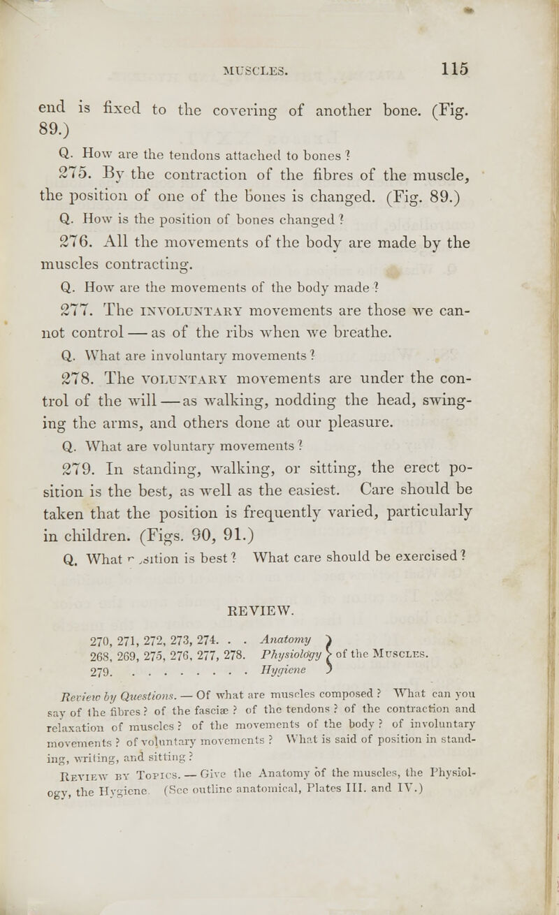 end is fixed to the covering of another bone. (Fig. 89.) Q. How are the tendons attached to bones ? 275. By the contraction of the fibres of the muscle, the position of one of the bones is changed. (Fig. 89.) Q. How is the position of bones changed 1 276. All the movements of the body are made by the muscles contracting. Q. How are the movements of the body made 1 277. The involuntary movements are those we can- not control — as of the ribs when we breathe. Q. What are involuntary movements ? 278. The voluntary movements are under the con- trol of the will—as walking, nodding the head, swing- ing the arms, and others done at our pleasure. Q. What are voluntary movements ? 279. In standing, walking, or sitting, the erect po- sition is the best, as well as the easiest. Care should be taken that the position is frequently varied, particularly in children. (Figs. 90, 91.) Q. What r edition is best? What care should be exercised? REVIEW. 270, 271, 272, 273, 274. . . Anatomy ^ 268, 269, 275, 276, 277, 278. Pkysiology > of the Muscles. 279 Hygiene j Review by Questions. — Of what are muscles composed ? What can you say of the fibres ? of the fasciae ? of the tendons ? of the contraction and relaxation of muscles? of the movements of the body? of involuntary movements ? of voluntary movements ? What is said of position in stand- ing, writing, and sitting? Review by Topics. — Give the Anatomy of the muscles, the Physiol- ogy the Hygiene. (See outline anatomical, Plates III. and IV.)