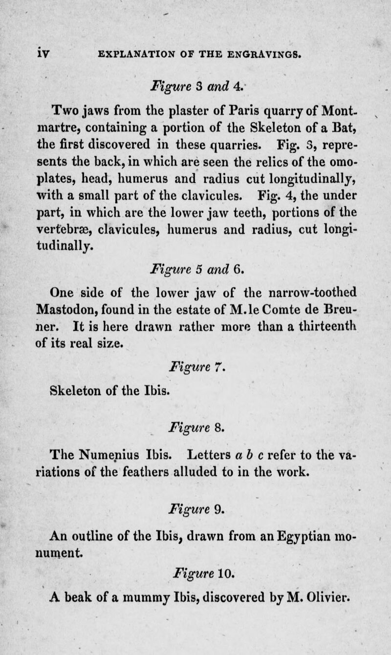 Figure 3 and 4. Two jaws from the plaster of Paris quarry of Mont- martre, containing a portion of the Skeleton of a Bat, the first discovered in these quarries. Fig. 3, repre- sents the back, in which are seen the relics of the omo- plates, head, humerus and radius cut longitudinally, with a small part of the clavicules. Fig. 4, the under part, in which are the lower jaw teeth, portions of the vertebrae, clavicules, humerus and radius, cut longi- tudinally. Figure 5 and 6. One side of the lower jaw of the narrow-toothed Mastodon, found in the estate of M.le Comte de Breu- ner. It is here drawn rather more than a thirteenth of its real size. Figure 7. Skeleton of the Ibis. Figure 8. The Numenius Ibis. Letters ab c refer to the va- riations of the feathers alluded to in the work. Figure 9. An outline of the Ibis, drawn from an Egyptian mo- nument. Figure 10. A beak of a mummy Ibis, discovered by M. Olivier.