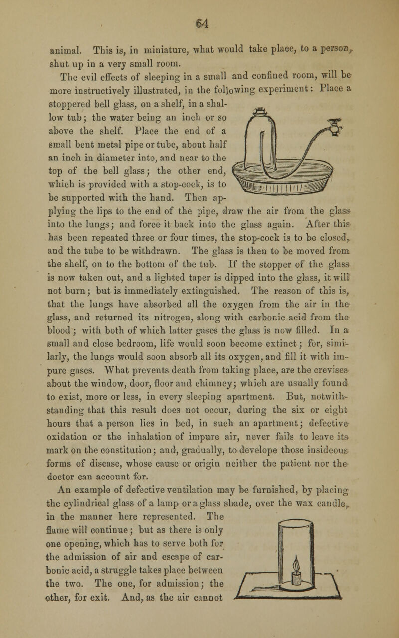 animal. This is, in miniature, what would take place, to a person,, shut up in a very small room. The evil effects of sleeping in a small and confined room, will be more instructively illustrated, in the following experiment: Place a stoppered bell glass, on a shelf, in a shal- low tub; the water being an inch or so above the shelf. Place the end of a small bent metal pipe or tube, about half an inch in diameter into, and near to the top of the bell glass; the other end, which is provided with a stop-cock, is to be supported with the hand. Then ap- plying the lips to the end of the pipe, draw the air from the glass into the lungs; and force it back into the glass again. After thia has been repeated three or four times, the stop-cock is to be closed, and the tube to be withdrawn. The glass is then to be moved from the shelf, on to the bottom of the tub. If the stopper of the glass is now taken out, and a lighted taper is dipped into the glass, it will not burn; but is immediately extinguished. The reason of this is, that the lungs have absorbed all the oxygen from the air in the glass, and returned its nitrogen, along with carbonic acid from the blood ; with both of which latter gases the glass is now filled. In a small and close bedroom, life would soon become extinct; for, simi- larly, the lungs would soon absorb all its oxygen, and fill it with im- pure gases. What prevents death from taking place, are the crevises about the window, door, floor and chimney; which are usually found to exist, more or less, in every sleeping apartment. But, notwith- standing that this result docs not occur, during the six or eight hours that a person lies in bed, in such an apartment; defective oxidation or the inhalation of impure air, never fails to leave its- mark on the constitution; and, gradually, todevelope those insideous forms of disease, whose cause or origin neither the patient nor the doctor can account for. An example of defective ventilation may be furnished, by placing the cylindrical glass of a lamp or a glass shade, over the wax candle,. in the manner here represented. The flame will continue; but as there is only one opening, which has to serve both for the admission of air and escape of car- bonic acid, a struggle takes place between the two. The one, for admission; the other, for exit. And, as the air cannot