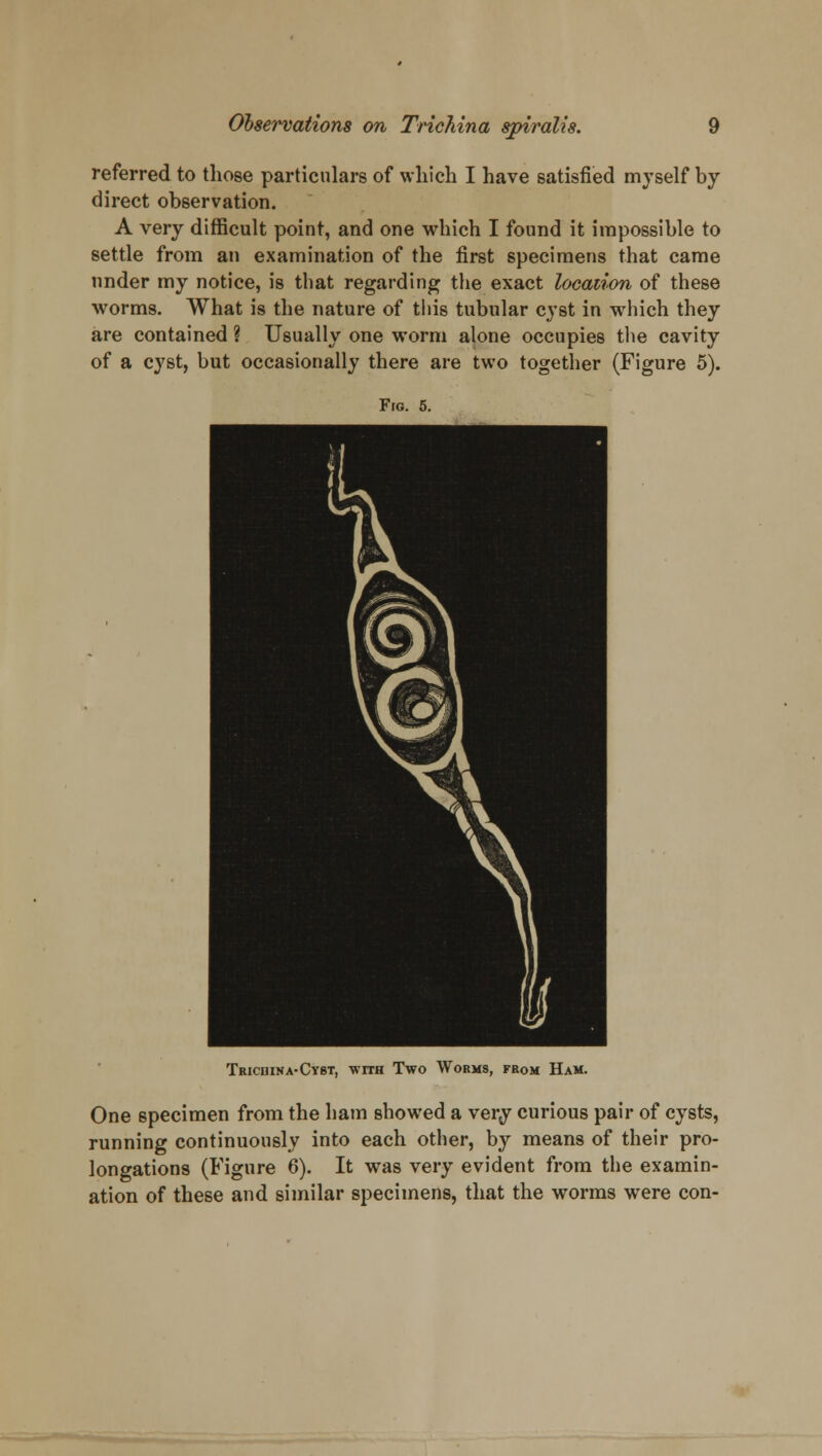 referred to those particulars of which I have satisfied myself by direct observation. A very difficult point, and one which I found it impossible to settle from an examination of the first specimens that came under my notice, is that regarding the exact location of these worms. What is the nature of this tubular cyst in which they are contained ? Usually one worm alone occupies the cavity of a cyst, but occasionally there are two together (Figure 5). Fro. 5. Trichina-Cyst, with Two Worms, from Ham. One specimen from the ham showed a vei\y curious pair of cysts, running continuously into each other, by means of their pro- longations (Figure 6). It was very evident from the examin- ation of these and similar specimens, that the worms were con-