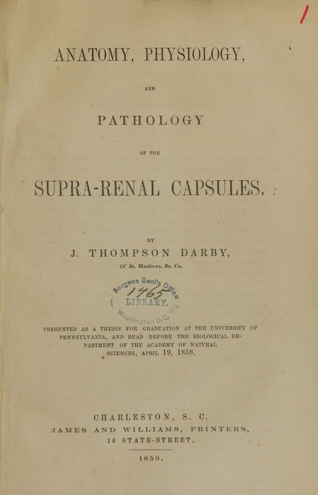 digitised image 1