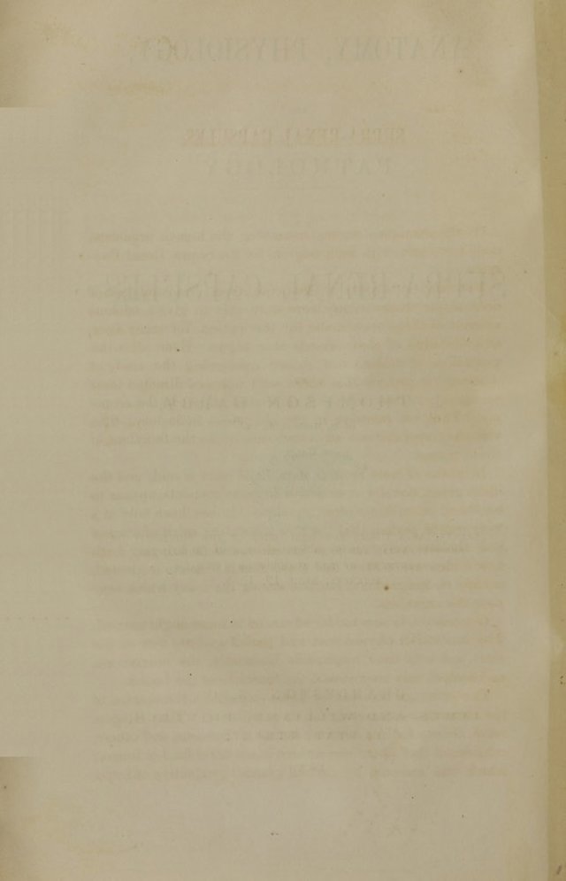 digitised image 2