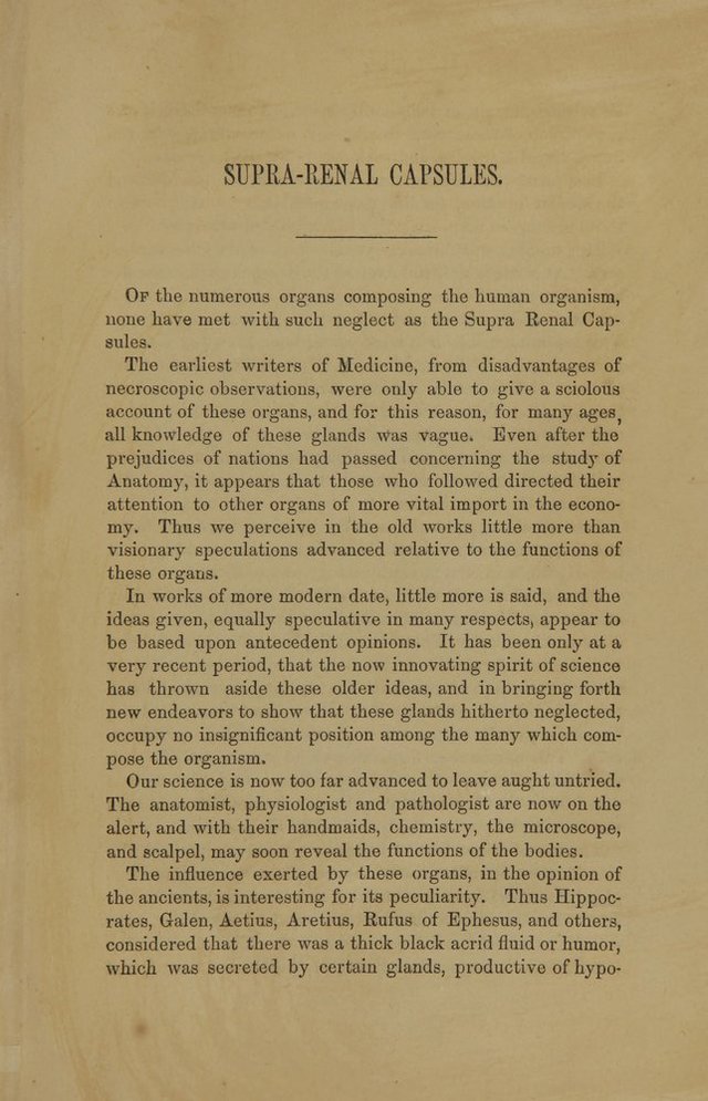 digitised image 3
