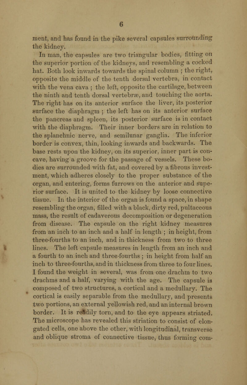 merit, and has found in the pike several capsules surrounding the kidney. In man, the capsules are two triangular bodies, fitting on the superior portion of the kidneys, and resembling a cocked hat. Both look inwards towards the spinal column ; the right, opposite the middle of the tenth dorsal vertebra, in contact with the vena cava ; the left, opposite the cartilage, between the ninth and tenth dorsal vertebras, and touching the aorta. The right has on its anterior surface the liver, its posterior surface the diaphragm ; the left has on its anterior surface the pancreas and spleen, its posterior surface is in contact with the diaphragm. Their inner borders are in relation to the splanchnic nerve, and semilunar ganglia. The inferior border is convex, thin, looking inwards and backwards. The base rests upon the kidney, on its supei'ior. inner part is con- cave, having a groove for the passage of vessels. These bo- dies are surrounded with fat, and covered by a fibrous invest- ment, which adheres closely to the proper substance of the organ, and entering, forms furrows on the anterior and supe- rior surface. It is united to the kidney by loose connective tissue. In the interior of the organ is found a space, in shape resembling the organ, filled with a black, dirty red, pultaceous mass, the result of cadaverous decomposition or degeneration from disease. The capsule on the right kidney measures from an inch to an inch and a half in length ; in height, from three-fourths to an inch, and in thickness from two to three lines. The left capsule measures in length from an inch and a fourth to an inch and three-fourths ; in height from half an inch to three-fourths, and in thickness from three to four lines. I found the weight in several, was from one drachm to two drachms and a half, varying with the age. The capsule is composed of two structures, a cortical and a medullary. The cortical is easily separable from the medullary, and presents two portions, an external yellowish red, and an internal brown border. It is reSdily torn, and to the eye appears striated. The microscope has revealed this striation to consist of elon- gated cells, one above the other, with longitudinal, transverse and oblique stroma of connective tissue, thus forming com-