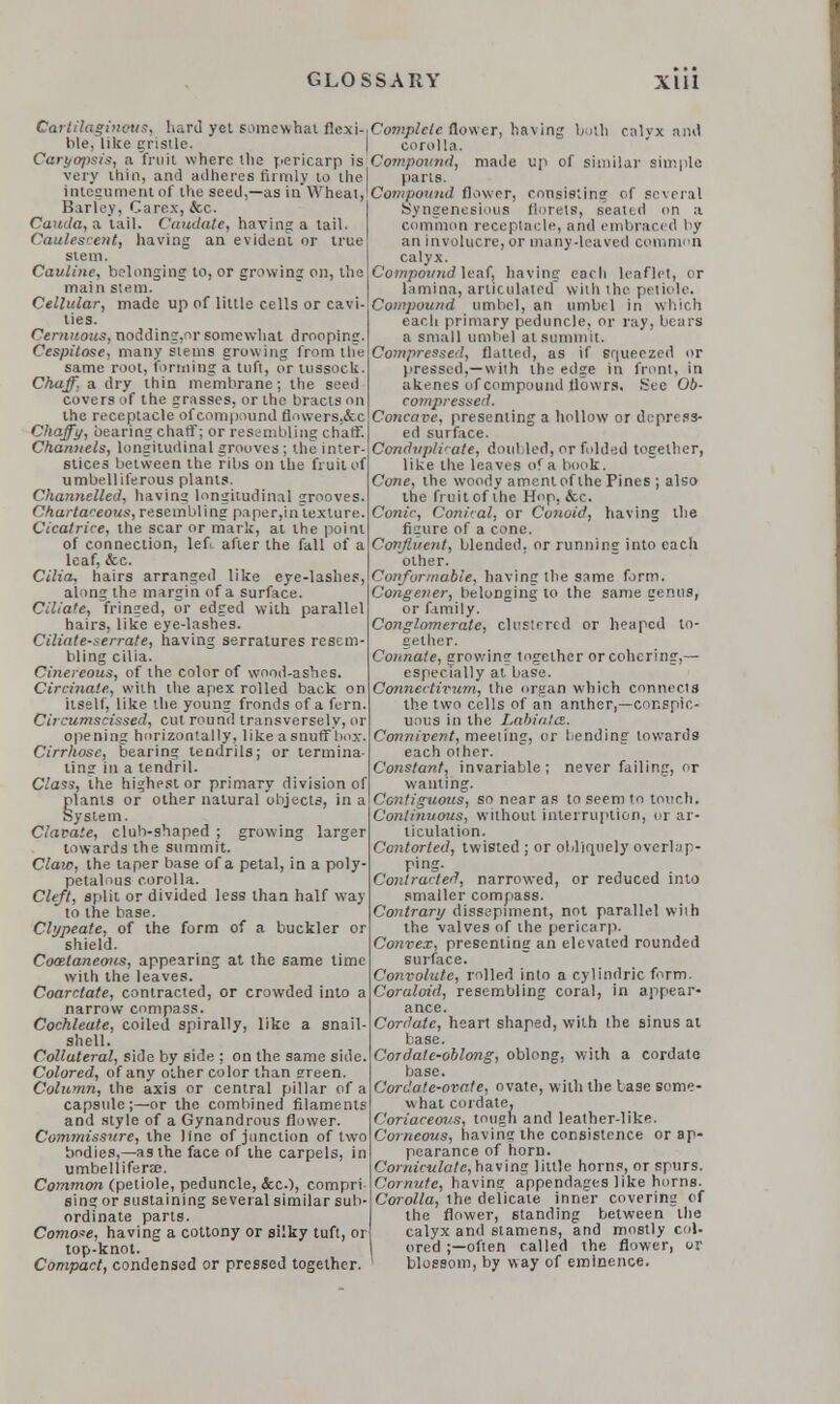 Cartilaginous, hard yet somewhat flexi- ble, like gristle. CaryojHtir), a fruit where the pericarp is very thin, and adheres firmly to the integument of the seed,—as in Wheal, Barley, Carex, &c. Cauda, a tail. Caiulate, having a tail. Caulescent, having an evident or true stein. Catiline, belonging to, or growing on, the main stem. Cellular, made up of little cells or cavi- ties. Cernuous, nodding.or somewhat drooping. Cespitose, many stems growing from the same root, forming a tuft, or tussock. Chaff, a dry thin membrane; the seed covers of the grasses, or the bracts on the receptacle of compound flowers.&c Chaffy, bearing chaff; or resembling chaff. Channels, longitudinal grooves ; the inter- stices between the ribs on the fruit of umbelliferous plants. Channelled, having longitudinal grooves. Chartaeeous, resembling paper,in texture. Cicatrice, the scar or mark, at the point of connection, lef. after the fall of a leaf, <fcc. Cilia, hairs arranged like eye-lashes, along the margin of a surface. Ciliate, fringed, or edged with parallel hairs, like eye-lashes. Ciliate-serrate, having serratures resem- bling cilia. Cinereous, of the color of wood-ashes. Circinale, with the apex rolled back on itself, like the young fronds of a fern. Circumscissed, cut round transversely, or opening horizontally, like a snuffbox Cirrhose, bearing tendrils; or termina ling in a tendril. Class, the highest or primary division of plants or other natural objects, in a System. Clavate, club-shaped ; growing larger towards the summit. Claw, the taper base of a petal, in a poly- petalous corolla. Cleft, split or divided less than half way  to the base. Cbjpeate, of the form of a buckler or shield. Comtaneous, appearing at the same time with the leaves. Coarctate, contracted, or crowded into a narrow compass. Cochleate, coiled spirally, like a snail shell. Collateral, side by side ; on the same side Colored, of any other color than green. Column, the axis or central pillar of a capsule;—or the combined filament and style of a Gynandrous flower. Commissure, the line of junction of two bodies,—as the face of the carpels, in umbellifera;. Common (petiole, peduncle, &c.), compri sing or sustaining several similar sub ordinate parts. Comoi>e, having a cottony or silky tuft, or top-knot. Compact, condensed or pressed together Complete flower, having both calyx and corolla. Compound, made up of similar simple parts. Compound flower, consisting of several Syngenesious florets, seated on a common receptacle, and embraced by an involucre, or many-leaved common calyx. Compound leaf, having each leaflet, or lamina, articulated with the petiole. Compound umbel, an umbel in which each primary peduncle, or ray, bears a small umbel at summit. Compressed, flatted, as if squeezed or pressed,—with the edge in front, in akenes of compound flours. !;'cc Ob- compressed. Concave, presenting a hollow or depress- ed surface. CondupWate, doubled, or folded together, like the leaves of a book. Cone, the woody ament of the Pines ; also the fruit of the Hop, &c. Conic, Conical, or Conoid, having the figure of a cone. Confluent, blended, or running into each other. Conformable, having the same form. Congener, belonging to the same genus, or family. Conglomerate, clustered or heaped to- gether. Connate, growing together or cohering,— especially at base. Connectivum, the organ which connects the two cells of ah anther,—conspic- uous in the Labiates. Connivent, meeting, or bending towards each other. Constant, invariable; never failing, or wanting. Contiguous, so near as to seem to touch. Continuous, without interruption, or ar- ticulation. Contorted, twisted ; or obliquely overlap- ping. Contracted, narrowed, or reduced into smaller compass. Contrarxj dissepiment, not parallel with the valves of the pericarp. Convex, presenting an elevated rounded surface. Convolute, rolled into a cylindric firm. Coraloid, resembling coral, in appear- ance. Cordate, heart shaped, with the sinus at base. Cordate-oblong, oblong, with a cordate base. Corc.'ote-ovate, ovate, with the base some- what cordate. Coriaceous, tough and leather-like. Corneous, having the consistence or ap- pearance of horn. Corniculate, having little horns, or spurs. Comute, having appendages like horns. Corolla, the delicate inner covering of the flower, standing between the calyx and stamens, and mostly col- I ored ;—often called the flower, or ' blossom, by way of eminence.