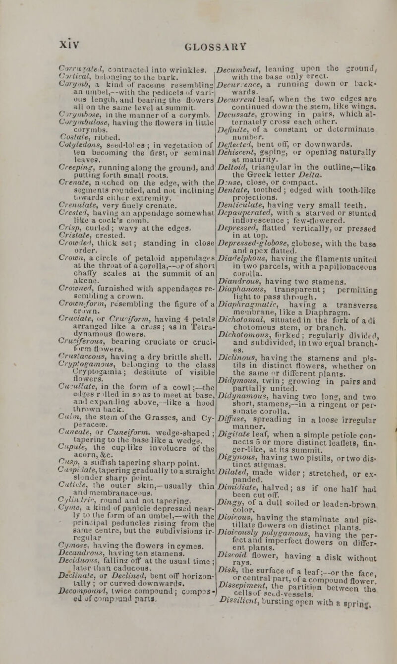 ' trritjated, contracted into wrinkles. . Cortical, belonging to the bark. Corymb, a kind of raceme resemblins an umbel,—with the pedicels of vari- ous length, and bearing the dowers all on the same level at summit. C 11• jmh ise, in the manner of a Corymb. Corymbulose, having the flowers in lilile corymbs. Costale, ribbed. Cotyledons, seed-lobes ; in vegetation of ten becoming the rirst, or seminal leaves. Creeping, running along the ground, and pulling forth small roots. Crenate, n ached on the edge, with the segments rounded, and not inclining towards either extremity. Crenulate, very finely crenale. Created, having an appendage somewhat like a cock's comb. Crisp, curled; wavy al the edges. Cristate, crested. Crow led, thick set; standing in close order. Crown, a circle of petaloid appendages at the throat of acorolla,--or of short chaffy scales al the summit of an akene. Crowned, furnished with appendages re- sembling a crown. Crounform, resembling the figure of a crown. Cruciate, or Cruciform, having 4 petals arranged like a cross; as in Telra- dynamous flowers. Cruciferous, bearing cruciate or cruel form flowers. Cnistaceous, having a dry brittle shell. Cryptogamous, belonging to the class Cryptogamia; destitute of visible flowers. Cmullate, in the form of a cowl;—the edges r lied in si as to meet at base, and expanding above,—like a hood thrown back. i he stem of the Grasses, and Cy- peracete. Cuneale, or Cuneiform, wedge-shaped ; tapering to the base like a wedge. Cupule, the cup like involucre of the acorn, &c. Cusp, a stifTish tapering sharp point. Caspi late, tapering gradually lo a straight slander sharp point. Cuticle, the outer skin,—usually thin and membranace >us. C'jlin Irir, round and not tapering. Cyme, a kind of panicle depressed near- ly to the firm of an umbel,—with the principal peduncles rising from ihe same centre, but the subdivisions ir- regular Cymose, having the flowers in cymes. Decandrous, having ten stamens. Deciduous, falling off at the usual time ; later thin caducous. Declinate, or Declined, bent off horizon- tally ; or curved downwards. Decompound, twice compound ; compos• ed of compound parts. Decumbent, leaning upon the ground, with the base only erect. Derur. ence, a running down or back- wards. Dentrrent leaf, when ihe two edges are continued down ihe stem, like wings. Decussate, growing in pairs, which al- ternately cross each other. Definite, of a constant or determinate number. Deflected, bent off, or downwards. Dehiscent, gaping, or opening naturally at maturity. Deltoid, triangular in the outline,—like ihe Greek lelter Delta. Dnse, close, or compact. Dentate, loothed ; edged with tooth-like projections. Denticulate, having very small teeth. Depauperated, with a starved or stunted inflorescence ; few-flowered. Depressed, flatted vertically, or pressed in at lop. Depressed-globose, globose, with the base and apex flatted. Diadelphous, having the filaments united in iwo parcels, wilh a papilionaceous corolla. Diandrous, having two stamens. Diaphanous, transparent; permitting light to pass through. Diaphragmatic, having a transverse membrane, like a Diaphragm. Dichotomal, situated in the fork of a di chotomous stem, or branch. Dichotomous, forked ; regularly dividt rt, and subdivided, in two equal branch- es. Diclinous, having ihe stamens and p's- tils in distinct flowers, whether on the same r different plants. Didymous, twin; growing in pairs and partially united. Didynamous, having two Ion?, and two short, stamens,—in a ringent or per- sonate corolla. Diffuse, spreading in a loose irregular manner. Digitate leaf, when a simple petiole con- nects 5 or more distinct leaflets, fin- ger-like, at its summit. Digynous, having two pistils, or Iwo dis- tinct stigmas. Dilated, made wider ; stretched, or ex- panded. Dimidiate, halved; as if one half had been cut off. Dingy, of a dull soiled or leadsn-brown color. Dioicous, having the staminate and pis- Ullate flowers on distinct plants Dioi'-ously polygamous, having the per- fect and imperfect flowers on differ- ent plants. Discoid flower, having a disk without Disk, ihe surface of a leaf;—or the face. or central part, of a compound flower Dissepiment, the partition between the cells of setd-vessels. Dissilicnt, bursting open wilh a spring