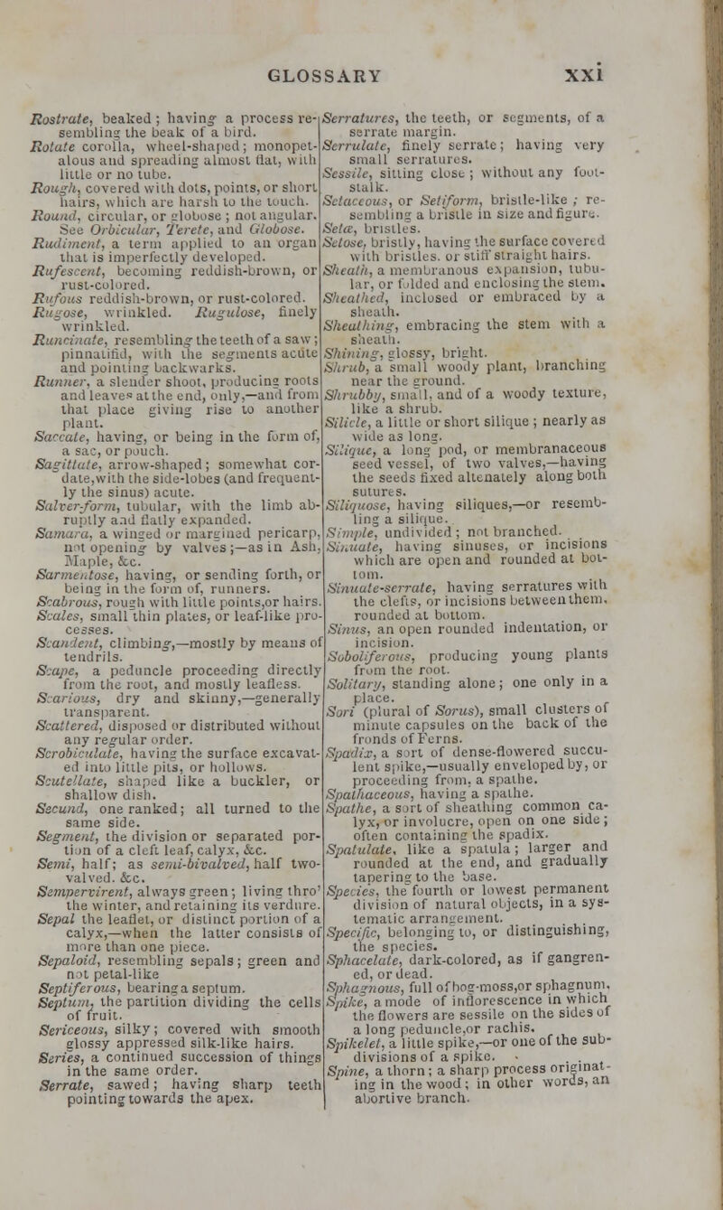 Rostrate, beaked; having a process re- sembling the beak of a bird. Rotate corolla, wheel-shaped; monopet- alous and spreading almost flat, with liule or no tube. Rough, covered with dots, points, or short hairs, which are harsh to the touch. Sound, circular, or globose ; not a See Orbicular, Terete, and Globose. Rudiment, a term applied to an organ that is imperfectly developed. Rufescent, becoming reddish-brown, or rust-colored. Rufous reddish-brown, or rust-colored. Rugose, wrinkled. Rugulose, finely wrinkled. Runcinate, resembling the teeth of a saw ; pinnalifid, with the segments acute and pointing backwarks. Runner, a slender shoot, producing roots and leaves at the end, only,—and from that place giving rise to another plant. Saccate, having, or being in the form of, a sac, or pouch. Sagittate, arrow-shaped ; somewhat cor- date,with the side-lobes (and frequent- ly the sinus) acute. Salver-form, tubular, with the limb ab- ruptly and flatly expanded. Samara, a winged or margined pericarp not opening by valves ;—as in Ash Maple, &c. Sarmeidose, having, or sending forth, or being in the form of, runners. Scabrous, rough with little poinls,or hairs Scales, smalllhin plates, or leaf-like pro cesses. Scandent, climbing,—mostly by means of tendrils. Scape, a peduncle proceeding directly from the root, and mostly leafless Scarious, dry and skinny,—generally transparent. Scattered, disposed or distributed without any regular order. Scrobicnlate, having the surface excavat- ed into little pits, or hollows. Scutellaie, shaped like a buckler, or shallow dish. Secund, one ranked; all turned to the same side. Segment, the division or separated por- tion of a cleft leaf, calyx, &c. Semi, half; as semi-bivalved, half two- valved. &c. Sempervirent, always green; living thro the winter, and retaining its verdure Sepal the leaflet, or distinct portion of a calyx,—when the latter consists of more than one piece. Sepaloid, resembling sepals ; green and n<t petal-like Septiferous, bearingaseptum. Septum, the partition dividing the cells of fruit. Sericeous, silky; covered with smooth glossy appressed silk-like hairs Series, a continued succession of things in the same order. Serrate, sawed; having sharp teeth pointing towards the apex. Serratures, the teeth, or segments, of a serrate margin. Serrulate, finely serrate; having very small serratures. Sessile, sitting close ; without any foot- stalk. . --, or Setiform, bristle-like ; re- ling a bristle in size and figure. Seta1, bristles. Setose, bristly, having the surface covered with bristles, or stiff straight hairs. Sheath, a membranous expansion, tubu- lar, or folded and enclosing the stem. Sheathed, inclosed or embraced bj a sheath. Sheathing, embracing the stem with a sheath. Shining, glossy, bright. Shrub, a small woody plant, branching near the ground. Shrubby, small, and of a woody texture, like a shrub. Silicle, a little or short silique ; nearly as wide as long. Silique, a long pod, or membranaceous seed vessel, of two valves,—having the seeds fixed allenately along both sutures. Siliijuosc, having siliques,—or resemb- ling a silique. Simple, undivided; not branched. Sinuate, having sinuses, or incisions which are open and rounded at bot- tom. Sinuate-serrate, having serratures with the clefts, or incisions between them, rounded at bottom. Sinus, an open rounded indentation, or incision. Soboliferous, producing young plants from the root. Solitanj, standing alone; one only in a place. Sort (plural of Sorus), small clusters of minute capsules on the back of the fronds of Ferns. Spddix,* sort of dense-flowered succu- lent spike,—usually enveloped by, or proceeding from, a spathe. Spalhaceous, having a spathe. Spathe, a sort of sheathing common ca- lyx, or involucre, open on one side; often containing the spadix. Spatulate, like a spatula; larger and rounded at the end, and gradually tanering to the base. Specie's, thefourth or lowest permanent division of natural objects, in a sys- tematic arrangement. Specific, belonging to, or distinguishing, Sphacelate, dark-colored, as if gangren- ed, or dead. Sphagnous, full of hog-moss,or sphagnum. S,,i!u-, a mode of inflorescence in which the flowers are sessile on the sides of a long peduncle,or rachis. Spikelet, a little spike,—or one of the sub- divisions of a spike. • . . Spine, a thorn; a sharp process originat- ing in the wood; in other words, an abortive branch.