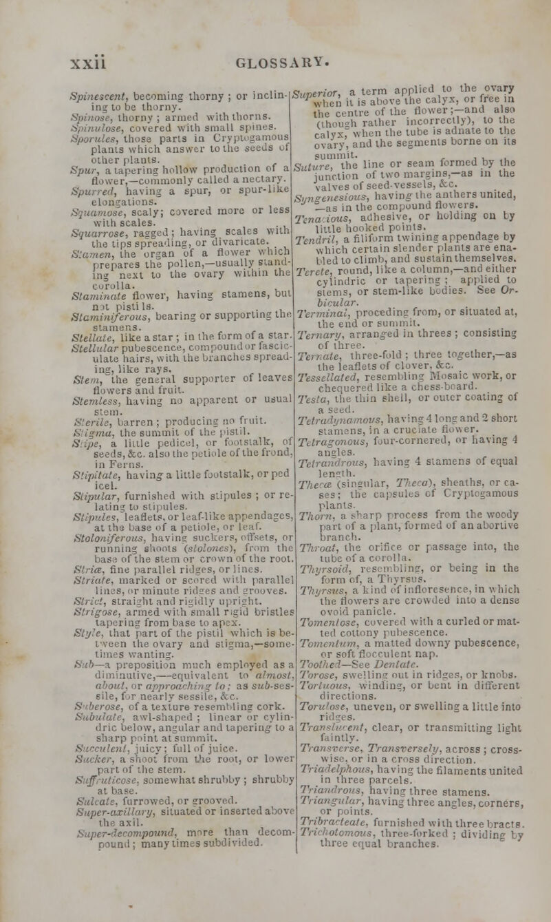 Spine***, becoming thorny ; or inclin-p^r * g™^™^? fre?[„ ^?^or!!L.J ..,„,„ . the«ntreofthe flower;-and also '.horny; armed with thorns Spinulose, covered with small B| Sporules, those parts in Crypn plants which answer to the seeds of other plains. Spur, a tapering hollow production of a er,—commonly called a nectary. Spurred, having a spur, or spur-like elongations. Squamose, scaly; covered more or less with scales. Squarrose, rasrged ; having scales with the tips spreading, or divaricate. Xiamen, the organ of a flower which prepares the pollen,—usually stand- ing next to the ovary within the corolla. Staminate flower, having stamens, but n a pisti Is. Slaminiferous, bearing or supporting the stamens. Stellate, like a star ; in the form of a star. Stellular pubescence, compound or fascic ulate hairs, with the branches spread ins, like rays. Stem, the general supporter of leaves flowers and fruit. Stemless, having no apparent or usual stem. Sterile, barren ; producing no fruit rut, the summit of the pistil. S pe, a little pedicel, or footstalk, of seeds, &c. also the petiole of the frond in Ferns. Siipilate, having a little fjotstalk, or ped icel. Stipular, furnished with stipules ; or re- lating to stipules. SUpulcs, leaflets, or leaf-like appendages, at thu base of a petiole, or leaf. Stoloniferous, having suckers, offsets, or running shoots (stolones), from the base of the stem or crown of the root. . fine parallel ridges, or lines. Striate, marked or scored with parallel linos, or minute ridces and grooves. Strict, straight and rigidly upright. i, armed with small rigid bristles tapering from base to apex. Style, that part of the pistil which is be- tveen the ovary and stigma,—some- times wanting. i preposition much employed as a diminutive,—equivalent to i about, or approaching to ; as sub-ses- sile, for nearly sessile, &c. Siberose, of a texture resemtding cork. Subulate, awl-shaped ; linear or r.ylin- dric below, angular and tapering to a sharp point at summit. Succulent, juicy; full of juice , it from the root, or lower part of the stem. tieose, somewhat shrubby ; shrubby at base. Sulcale. furrowed, or grooved. Super-axillary, siluate'd or inserted above the axil. Super-decompound, more than decom nound; many times subdivided. (though rather incorrectly), to the calyx, when the lube is adnate to the ovary, and the segments borne on its summit. Suture, the line or seam formed by the junction of two margins—as in the valves of seed-vessels, &C S'jnenesious, having the anthers united, —as in the compound flowers. Tena.ious, adhesive, or holding on by little hooked points. Tendril, a filiform twining appendage by which certain slender plants are ena- bled to climb, and sustainthemselves. Terete, round, like a column,—and either cylindric or tapering ; applied to stems, or stem-like budies. See Or- bicular. Terminal, proceding from, or situated at, the end or bui Ternary, arranged in threes ; consisting of three. Temate, three-fold ; three together,—as the leaflets of clover. &c. Tessellated, resembling Mosaic work, or chequered li ard. Testa, the thin shell, or outer coating of a see amovs, having 4 long and 2 short stamens, in a ci; r. Tetragonous, four-cornered, or having 4 angles. Tetrandrous, having 4 stamens of equal length. Theca (singular, Theca), sheaths, or ca- e >s : lh~e caj sules (f > ryj I gamous plants. Thorn, a sharp process from the woody pari of a plant, formed of an abortive branch. Throat, iho orifice, or passage into, the lube of a corolla. Thyreoid, resembling, or being in the form of, a Thyrsus. s, a kind of infloresence, in which .lowers are crowded into a dense ovoid panicle. Tomcntose, covered with a curled or mat- ted cottony pubescence. Tomcntum, a matted downy pubescence, or soft flocculent nap. Toothed—See Dentate. Torose, swelling out in ridges, or knobs. Tortuous, winding, or bent in different directions. Torulose, uneven, or swelling a little into ridges. Translucent, clear, or transmitting licht faintly. Transverse, Transversely, across ; cross- wise, or in a cross direction. rhous, having the filaments united in three parcels. Triandrous, having three stamens. lar, having three andes. corners, or points. Tribracteate, furnished with three bracts. Trichotomous, three-forked ; dividin by three equal branches.