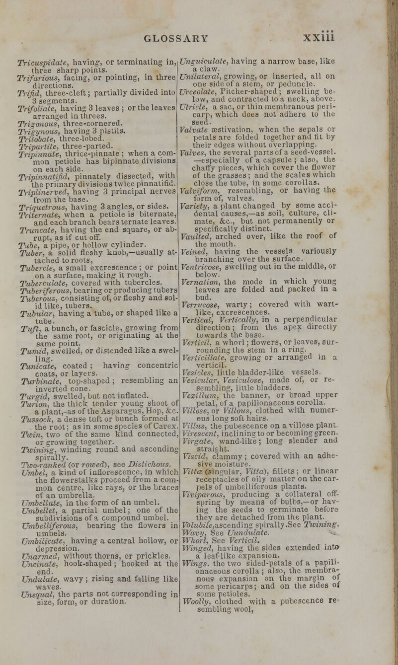 Tricuspidate, having, or terminating in,iUnguiculate, having a narrow base, like three sharp points. a claw. Trifarious, facing, or pointing, in three1 Unilateral, growing, or inserted, all on directions. one side of a stem, or peduncle. TriM, three-cleft; partially divided into\Urceolatc, Pitcher-shaped; swelling be 3 segments. low, and contracted to a neck, above. Trifoliate, having 3 leaves ; or the leaves Utricle, a sac, or thin membranous per arranged in threes. Trigonous, three-cornered. Trigynous, having 3 pistils. Trilobate, three-lobed. Tripartite, three-parted. Tripinnate, thrice-pinnate ; when a com- mon petiole has bipinnate divisions on each side. Tripinnatifid, pinnately dissected, with the primary divisions twice pinnatifid carp, which does not adhere to the seed. Valcate cestivation, when the sepals cr petals are folded together and fit by their edges without overlapping. Valves, the several partsof a seed-vessel, —especially of a capsule ; also, the chaffy pieces, which cover the flower of the grasses; and the scales which close the tube, in some corollas. Triplinerved, having 3 principal nerves Valviform, resembling, or having the from the base Triquetrous, having 3 angles, or sides. Triternate, when a petiole is biternate, and each branch bears ternate leaves. Truncate, having the end square, or ab- rupt, as if cut off. Tube, a pipe, or hollow cylinder. Tuber, a solid fleshy knob,—usually at- tached to roots, Tubercle, a small excrescence ; or point on a surface, making- it rough. Tuberculate, covered with tubercles. Tuberiferous, bearing or producing tubers Tuberous, consisting of, or fleshy and sol- id like, tubers. Tubular, having a tube, or shaped like a tube. Tuft, a bunch, or fascicle, growing from the same root, or originating at the same point. Tumid, swelled, or distended like a swel- ling. Tunicate, coated ; having concentric coats, or layers. Turbinate, top-shaped; resembling an inverted cone. Turgid, swelled, but not inflated. Tuirion, the thick tender young shoot of a plant,-as of the Asparagus, Hop, &c. Tussock, a dense tuft or bunch formed at the root; as in some species of Carex. Twin, two of the same kind connected, or growing together. Twining, winding round and ascending spirally. Two-ranked (or rowed), see Distichous. Umbel, a kind of inflorescence, in which the flowerstalks proceed from a com- mon centre, like rays, or the braces of an umbrella. Umbellate, in the form of an umbel. Umbellet, a partial umbel; one of the subdivisions of a compound umbel. Umbelliferous, bearing the flowers in umbels. Xjmbilicate, having- a central hollow, or depression. Unarmed, without thorns, or prickles. Uncinate, hook-shaped; hooked at the end. Undulate, wavy; rising and falling like waves. Unequal, the parts not corresponding in size, form, or duration. form of, valves Variety, a plant changed by some acci- dental causes,—as soil, culture, cli- mate, &c, but not permanently or specifically distinct. Vaulted, arched over, like the roof of the mouth. Veined, having the vessels variously branching over the surface. Ventricose, swelling out in the middle, or below. Vernation, the mode in which young leaves are folded and packed in a bud. Verrucose, warty; covered with wart- like, excrescences. Vertical, Vertically, in a perpendicular direction; from the apex directly towards the base. Verticil, a whorl; flowers, or leaves, sur- rounding the stem in a ring. Verticillate, growing or arranged in a verticil. Vesicles, lit tie bladder-like vessels. Vesicular, Vesiculose, made of, or re- sembling, little bladders. Vexillum, the banner, or broad upper petal, of a papilionaceous corolla. Villose, or Villous, clothed with numer- ous long soft hairs. Villus, the pubescence on a villose plant. Virescent, inclining to or becoming green- Virgate, wand-like; long slender and straight. Viscid, clammy; covered with an adhe- sive moisture. Vittee (singular, Vilta), fillets; or linear receptacles of oily matter on the car- pels of umbelliferous plants. Viviparous, producing a collateral off- spring by means of bulbs,—or hav- ing tiie seeds to germinate before they are detached from the plant. FoZw&j7e,ascending spirally .See Twining. Wavy, See Uundulate. Whorl, See Verticil. Winged, having the sides extended into a leaf-like expansion. Wings, the two sided-petals of a papili- onaceous corolla; also, the membra- nous expansion on the margin of some pericarps; and on the sides of some petioles. Woolly, clothed with a pubescence re- sembling wool,