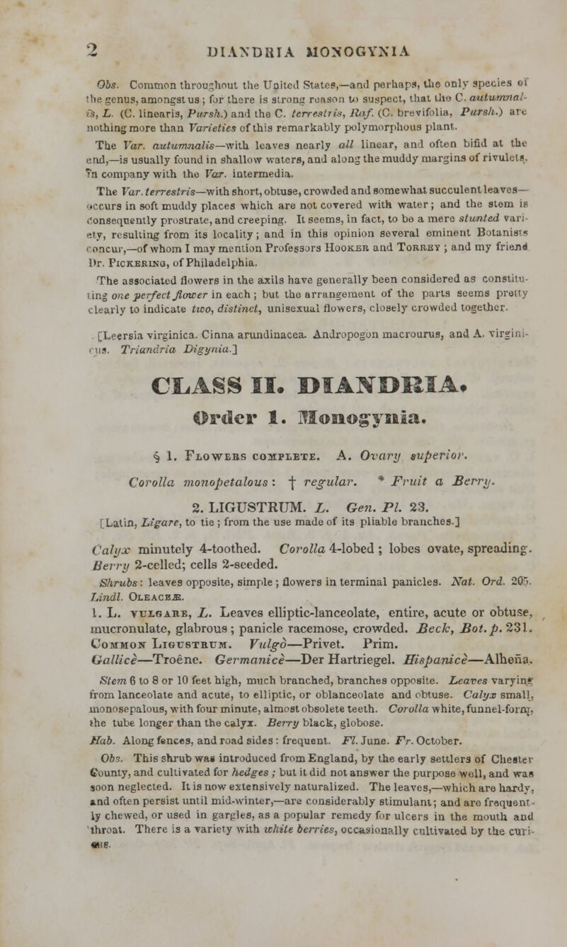 Obs. Common throughout the United States,—ami perhaps, Uio only species of the genus, amongst us ; for there is strong reason u> suspect, that the C. autumnal- is, L. (C. linearis, Pursh.) and the C. terrestris, llaf. (C. brevifolia, Pursh.) are nothing more than Varieties of this remarkably polymorphous plant. The Var. autumnalis—with leaves nearly all linear, and often bifid at the end,—is usually found in shallow waters, and along the muddy margins of rivulets. Tn company with the Var. intermedia. The Var. terrestris—with short, obtuse, crowded and somewhat succulent leaves— •tccurs in soft muddy places which are not covered with water; and the stem is Consequently prostrate, and creeping. It seems, in fact, to be a mere stunted vari- ety, resulting from its locality ; and in this opinion several eminent Botanist* concur,—of whom I may mention Professors Hooker and Torrby ; and my friend l>r. Pickering, of Philadelphia. The associated flowers in the axils have generally been considered as constitu- ling one perfect Jlmcer in each ; but the arrangement of the parts seems pretty clearly to indicate tico, distinct, unisexual flowers, closely crowded together. [Leersia virginica. Cinna arundinacea. Andropogon macrourus, and A. Virginia ■ us. Triandria Digynia] CLASS II. rHAXSJRIA. Order 1. Ulonogysua. § 1. Fiowebs complete. A. Ovary superior. Corolla monopetalous : f regular. * Fruit a Berry. 2. LIGUSTRUM. L. Gen. PI. 23. [Latin, Ligare, to tie ; from the use made of its pliable branches.] Calyx minutely 4-toothed. Corolla 4-lobed ; lobes ovate, spreading. Berry 2-cellcd; cells 2-seeded. Shrubs: leaves opposite, simple ; flowers in terminal panicles. Nat. Ord. 20i. T.indl. Oleacb-E. 1. L. yuioabi, L. Leaves elliptic-lanceolate, entire, acute or obtuse, mucronulate, glabrous ; panicle racemose, crowded. Beck, Bot.p. 231. Common Ligustrum. Vulgo—Privet. Prim. Gallice—Troene. Germanice—Der Hartriegel. Hispanice—Alhena. Stem 6 to 8 or 10 feet high, much branched, branches opposite. Leaves varying from lanceolate and acute, to elliptic, or oblanceolate and obtuse. Calyx small, inonosepalous, with four minute, almost obsolete teeth. Corolla white, funnel-form, the tube longer than the calyx. Berry black, globose. Hab. Along fences, and road sides: frequent. Fl. June. Fr. October. Obs. This shrub was introduced from England, by the early settlers of Chester County, and cultivated for hedges; but it did not answer the purpose well, and was soon neglected. It is now extensively naturalized. The leaves,—which are hardy, and often persist until mid-winter,—are considerably stimulant; and aro frequent- ly chewed, or used in gargles, as a popular remedy for ulcers in the mouth and 'throat. There is a variety with white berries, occasionally cultivated by the curi- ae.