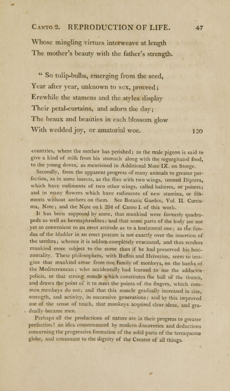 Whose mingling virtues interweave at length The mother's beauty with the father's strength.  So tulip-bulbs, emerging from the seed, Year after year, unknown to sex, proceed; Erewhile the stamens and the stvles display Their petal-curtains, and adorn the day; The beaux and beauties in each blossom glow With wedded joy, or amatorial woe. 130 countries, where the mother has perished; as the male pigeon is said to give a kind of milk from his stomach along with the regurgitated food, to the young doves, as mentioned in Additional Note IX. on Storge. Secondly, from the apparent progress of many animals to greater per- fection, as in some insects, as the flies with two wings, termed Diptcra, which have rudiments of two other wings, called halteres, or poisers; and in many flowers which have rudiments of new stamina, or fila- ments without anthers on them. See Botanic Garden, Vol. II. Curcu- ma, Note; and the Note on 1. 204 of Canto I. of this work. It has been supposed by some, that mankind were formerly quadru- peds as well as hermaphrodites; and that some parts of the body are not yet so convenient to an erect attitude as to a horizontal one; as the fun- dus of the bladder in an erect posture is not exactly over the insertion of the urethra; whence it is seldom completely evacuated, and thus renders mankind more subject to the stone than if he had preserved his hori- zontally. These philosophers, with Button and Helvetius, seem to ima- gine that mankind arose from one family of monkeys, on the banks ot the Mediterranean ; who accidentally had learned to use the adductor policis, or that strong muscle which constitutes the ball of the thumb, and draws the point of it to meet the points of the fingers, which com- mon monkeys do not; and that this muscle gradually increased in size, strength, and activity, in successive generations; and by this improved use of tiie Benae of touch, that monkeys acquired clear ideas, and Gra- dually became men. Perhaps all the productions of nature are in their progress to greater perfection! an idea countenanced by modem discoveries and deductions concerning the progressive formation of the solid parts of the terraqueous globe, and consonant to the dignity of the Creator of all things.