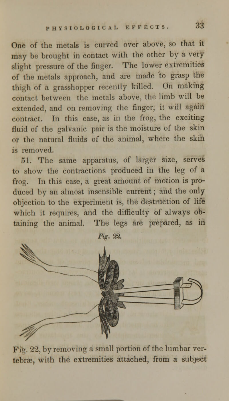PHYSIOLOGICAL EFFECTS. One of the metals is curved over above, so that it may be brought in contact with the other by a very slight pressure of the finger. The lower extremities of the metals approach, and are made to grasp the thigh of a grasshopper recently killed. On making contact between the metals above, the limb will be extended, and on removing the finger, it will again contract. In this case, as in the frog, the exciting fluid of the galvanic pair is the moisture of the skin or the natural fluids of the animal, where the skin is removed. 51. The same apparatus, of larger size, serves to show the contractions produced in the leg of a frog. In this case, a great amount of motion is pro- duced by an almost insensible current; and the only objection to the experiment is, the destruction of life which it requires, and the difficulty of always ob- taining the animal. The legs are prepared, as in Fig. 22. Fife. 22, by removing a small portion of the lumbar ver- tebrae, with the extremities attached, from a subject