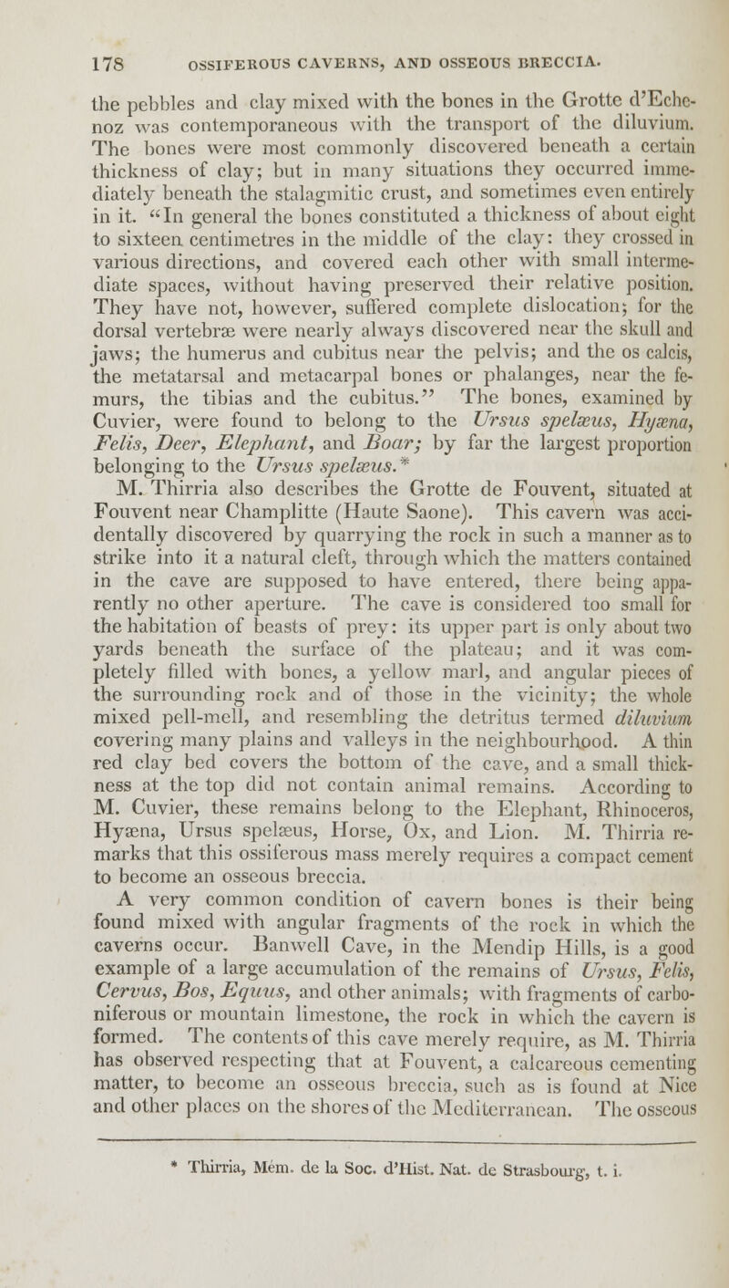 the pebbles and clay mixed with the bones in the Grotto d'Eche- noz was contemporaneous with the transport of the diluvium. The bones were most commonly discovered beneath a certain thickness of clay; but in many situations they occurred imme- diately beneath the stalagmitic crust, and sometimes even entirely in it. In general the bones constituted a thickness of about eight to sixteen centimetres in the middle of the clay: they crossed in various directions, and covered each other with small interme- diate spaces, without having preserved their relative position. They have not, however, suffered complete dislocation; for the dorsal vertebrae were nearly always discovered near the skull and jaws; the humerus and cubitus near the pelvis; and the os calcis, the metatarsal and metacarpal bones or phalanges, near the fe- murs, the tibias and the cubitus. The bones, examined by Cuvier, were found to belong to the Ursus spelxus, Hyscna, Felis, Deer, Elephant, and Boar; by far the largest proportion belonging to the Ursus spelseus.* M. Thirria also describes the Grotte de Fouvent, situated at Fouvent near Champlitte (Haute Saone). This cavern was acci- dentally discovered by quarrying the rock in such a manner as to strike into it a natural cleft, through which the matters contained in the cave are supposed to have entered, there being appa- rently no other aperture. The cave is considered too small for the habitation of beasts of prey: its upper part is only about two yards beneath the surface of the plateau; and it was com- pletely filled with bones, a j'ellow marl, and angular pieces of the surrounding rook and of those in the vicinity; the whole mixed pell-mell, and resembling the detritus termed diluvium covering many plains and valleys in the neighbourhood. A thin red clay bed covers the bottom of the cave, and a small thick- ness at the top did not contain animal remains. According to M. Cuvier, these remains belong to the Elephant, Rhinoceros, Hyaena, Ursus spelaeus, Horse, Ox, and Lion. M. Thirria re- marks that this ossiferous mass merely requires a compact cement to become an osseous breccia. A very common condition of cavern bones is their being found mixed with angular fragments of the rock in which the caverns occur. Banwell Cave, in the Mendip Hills, is a good example of a large accumulation of the remains of Ursus, Felis, Cervus, Bos, Equus, and other animals; with fragments of carbo- niferous or mountain limestone, the rock in which the cavern is formed. The contents of this cave merely require, as M. Thirria has observed respecting that at Fouvent, a calcareous cementing matter, to become an osseous breccia, such as is found at Nice and other places on the shores of the Mediterranean. The osseous * Thirria, Mem. de la Soc. d'Hist. Nat. dc Strasbourg, t. i.