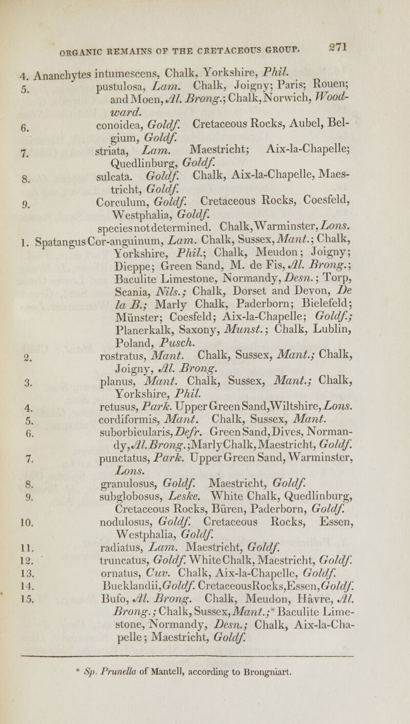 4. Ananchytes intumescens, Chalk, Yorkshire, Phil. 5 pustulosa, Lam. Chalk, Joigny; Paris; Rouen; and Moen, M. Brong.; Chalk,Norwich, Wood- ward. 6- conoidea, Gold/. Cretaceous Rocks, Auhel, Bel- gium, Gold/. 7# striata, Lam. Maestricht; Aix-la-Chapelle; Quedlinburg, Gold/. 8. sulcata. Gold/. Chalk, Aix-la-Chapelle, Maes- tricht, Gold/. 9> Corculum, Gold/. Cretaceous Rocks, Coesfeld, Westphalia, Gold/. species not determined. Chalk, Warminster, Lons. 1. SpatangusCor-anguinum, Lam. Chalk, Sussex, Mant.; Chalk, Yorkshire, Phil.', Chalk, Meudon; Joigny; Dieppe; Green Sand, M. de Fis,«tf/. Brong.; Baculite Limestone, Normandy, Desn.; Torp, Scania, Nils.; Chalk, Dorset and Devon, De la B.; Marly Chalk, Paderborn; Bielefeld; Miinster; Coesfeld; Aix-la-Chapelle; Gold/.; Planerkalk, Saxony, Munst.; Chalk, Lublin, Poland, Pusch. 2. rostratus, Mant. Chalk, Sussex, Mant.; Chalk, Joigny, M. Brong. 3. planus, Mant. Chalk, Sussex, Mant.; Chalk, Yorkshire, Phil. 4. retusus, Park. Upper Green Sand,Wiltshire, Lons. 5. cordiformis, Mant. Chalk, Sussex, Mant. G. suborbicularis,Zte/K Green Sand, Dives, Norman- dy, M.Brong. ;MarlyChalk,Maestricht, Gold/. 7. punctatus, Park. Upper Green Sand, Warminster, Lons. 8. granulosus, Gold/. Maestricht, Gold/. 9. subglobosus, Leske. White Chalk, Quedlinburg, Cretaceous Rocks, Biiren, Paderborn, Gold/. 10. nodulosus, Gold/. Cretaceous Rocks, Essen, Westphalia, Gold/. 11. radiatus, Lam. Maestricht, Gold/. 12. truncatus, Gold/. White Chalk, Maestricht, Gold/. 13. ornatus, Cuv. Chalk, Aix-la-Chapelle, Gold/. 14. Bucklandii, (?o/<//l CretaceousRockSjEsscnj&o/^ 15. Bufo, M. Brong. Chalk, Meudon, Havre, M. Brong.; Chalk, Sussex,Mant.;Baculite Lime- stone, Normandy, Desn.; Chalk, Aix-la-Cha- pclle; Maestricht, Gold/. * Sp. Prunella of Mantell, according to Brongniart.