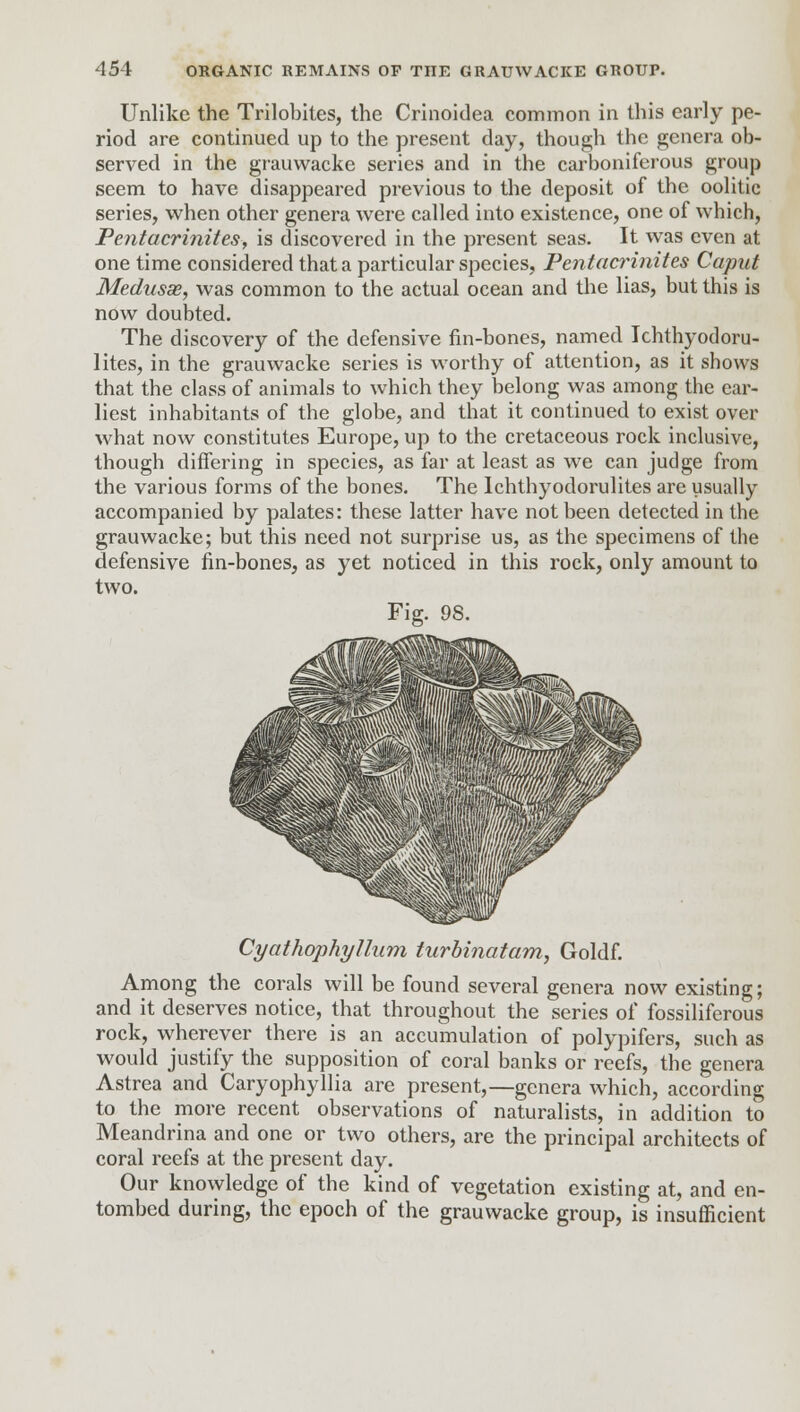 Unlike the Trilobites, the Crinoidea common in this early pe- riod are continued up to the present day, though the genera ob- served in the grauwacke series and in the carboniferous group seem to have disappeared previous to the deposit of the oolitic series, when other genera were called into existence, one of which, Pentacrinites, is discovered in the present seas. It was even at one time considered that a particular species, Pentacrinites Caput Medusas, was common to the actual ocean and the lias, but this is now doubted. The discovery of the defensive fin-bones, named Ichthyodoru- lites, in the grauwacke series is worthy of attention, as it shows that the class of animals to which they belong was among the ear- liest inhabitants of the globe, and that it continued to exist over what now constitutes Europe, up to the cretaceous rock inclusive, though differing in species, as far at least as we can judge from the various forms of the bones. The Ichthyodorulites are usually accompanied by palates: these latter have not been detected in the grauwacke; but this need not surprise us, as the specimens of the defensive fin-bones, as yet noticed in this rock, only amount to two. Fig. 98. Cyathophyllum turbinatam, Goldf. Among the corals will be found several genera now existing; and it deserves notice, that throughout the series of fossiliferous rock, wherever there is an accumulation of polypifers, such as would justify the supposition of coral banks or reefs, the genera Astrea and Caryophyllia are present,—genera which, according to the more recent observations of naturalists, in addition to Meandrina and one or two others, are the principal architects of coral reefs at the present day. Our knowledge of the kind of vegetation existing at, and en- tombed during, the epoch of the grauwacke group, is insufficient