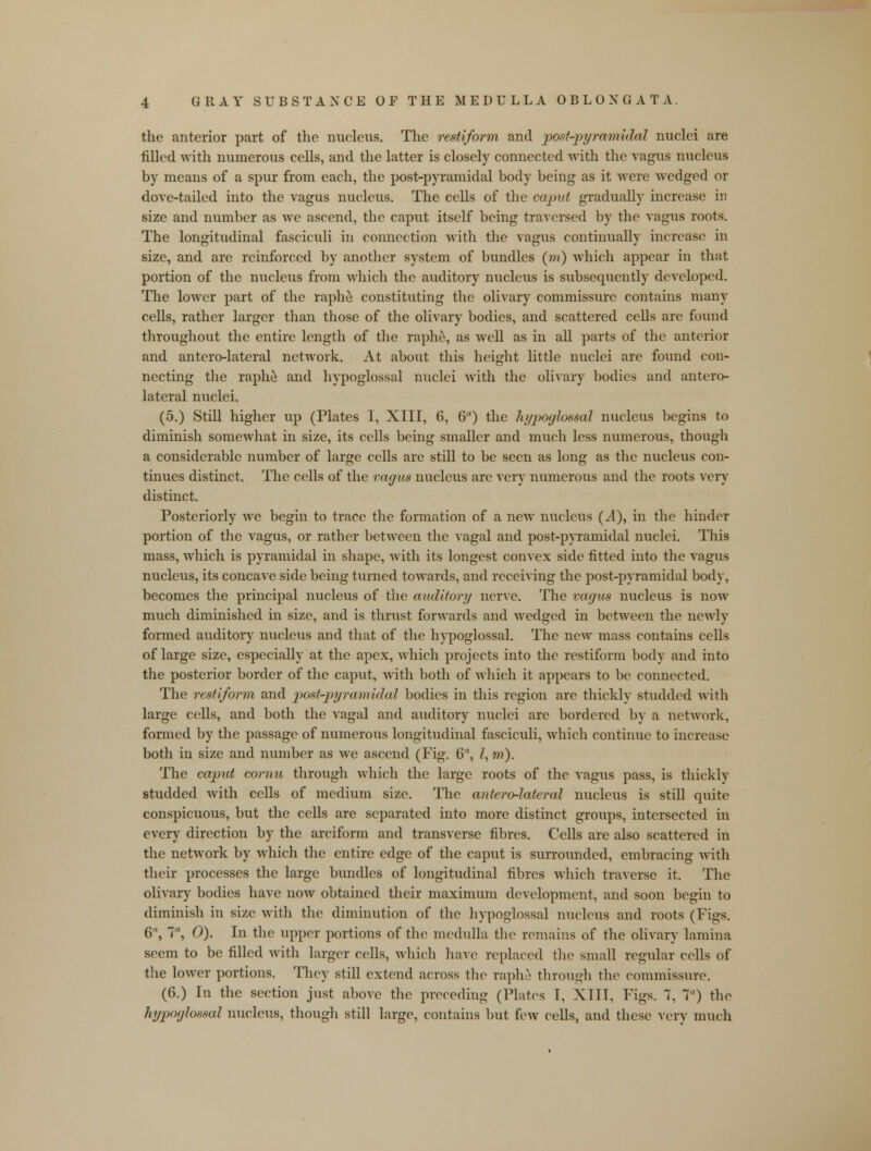 the anterior part of the nucleus. The restiform and post-pyramidal nuclei are filled with numerous cells, and the latter is closely connected with the vagus nucleus by means of a spur from each, the post-pyramidal body being as it were wedged or dove-tailed into the vagus nucleus. The cells of the caput gradually increase in size and number as we ascend, the caput itself being traversed by the vagus roots. The longitudinal fasciculi in connection with the vagus continually increase in size, and are reinforced by another system of bundles (in) which appear in that portion of the nucleus from which the auditory nucleus is subsequently developed. The lower part of the raphe constituting the olivary commissure contains many cells, rather larger than those of the olivary bodies, and scattered cells are found throughout the entire length of the raphe, as well as in all parts of the anterior and antero-lateral network. At about this height little nuclei are found con- necting the raphe and hypoglossal nuclei with the olivary bodies and antero- lateral nuclei. (5.) Still higher up (Plates I, XIII, 6, 6°) the hypoglossal nucleus begins to diminish somewhat in size, its cells being smaller and much less numerous, though a considerable number of large cells are still to be seen as long as the nucleus con- tinues distinct. The cells of the ray us nucleus are very numerous and the roots very distinct. Posteriorly we begin to trace the formation of a new nucleus (A), in the hinder portion of the vagus, or rather between the vagal and post-pyramidal nuclei. This mass, which is pyramidal in shape, with its longest convex side fitted into the vagus nucleus, its concave side being turned towards, and receiving the post-pyramidal bod}', becomes the principal nucleus of the auditory nerve. The vagus nucleus is now much diminished in size, and is thrust forwards and wedged in between the newly formed auditory nucleus and that of the hypoglossal. The new mass contains cells of large size, especially at the apex, which projects into the restiform body and into the posterior border of the caput, with both of which it appears to be connected. The restiform and post-pyramidal bodies in this region are thickly studded with large cells, and both the vagal and auditory nuclei are bordered by a network, formed by the passage of numerous longitudinal fasciculi, which continue to increase both in size and number as we ascend (Fig. 6, I, m). The caput comu through which the large roots of the vagus pass, is thickly studded with cells of medium size. The antero-lateral nucleus is still quite conspicuous, but the cells are separated into more distinct groups, intersected in every direction by the arciform and transverse fibres. Cells are also scattered in the network by which the entire edge of the caput is surrounded, embracing with their processes the large bundles of longitudinal fibres which traverse it. The olivary bodies have now obtained their maximum development, and soon begin to diminish in size with the diminution of the hypoglossal nucleus and roots (Figs. 6, 7a, 0). In the upper portions of the medulla the remains of the olivary lamina seem to be filled with larger cells, which have replaced the small regular cells of the lower portions. They still extend across the raphe through the commissure. (6.) In the section just above the preceding (Plates I, XIII, Figs. 7, 7) the hypoglossal nucleus, though still large, contains but few cells, and these very much