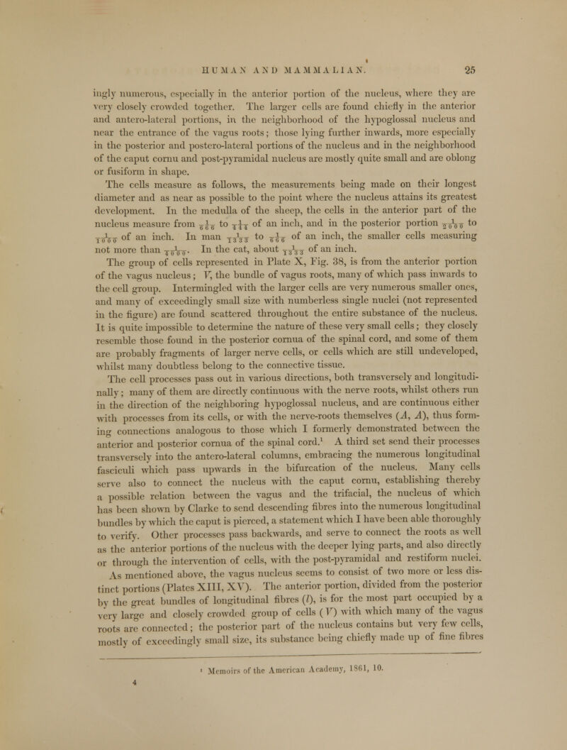 ingly numerous, especially in the anterior portion of the nucleus, where they are very closely crowded together. The larger cells are found chiefly in the anterior and antero-lateral portions, in the neighborhood of the hypoglossal nucleus and near the entrance of the vagus roots; those lying further inwards, more especially in the posterior and postero-lateral portions of the nucleus and in the neighborhood of the caput cornu and post-pyramidal nucleus are mostly quite small and are oblong or fusiform in shape. The cells measure as follows, the measurements being made on their longest diameter and as near as possible to the point where the nucleus attains its greatest development. In the medulla of the sheep, the cells in the anterior part of the nucleus measure from gig to ¥^¥ of an inch, and in the posterior portion 2 0*00 to _j__ of an inch. In man j^ 3 to gig of an inch, the smaller cells measuring not more than ^oVff. In the cat, about TgV3 of an inch. The group of cells represented in Plate X, Fig. 38, is from the anterior portion of the vagus nucleus ; V, the bundle of vagus roots, many of which pass inwards to the cell group. Intermingled with the larger cells are very numerous smaller ones, and many of exceedingly small size with numberless single nuclei (not represented in the figure) are found scattered throughout the entire substance of the nucleus. It is quite impossible to determine the nature of these very small cells; they closely resemble those found in the posterior cornua of the spinal cord, and some of them are probably fragments of larger nerve cells, or cells which are still undeveloped, whilst many doubtless belong to the connective tissue. The cell processes pass out in various directions, both transversely and longitudi- nally ; many of them are directly continuous with the nerve roots, whilst others run in the direction of the neighboring hypoglossal nucleus, and are continuous either with processes from its cells, or with the nerve-roots themselves (A, A), thus form- ing connections analogous to those which I formerly demonstrated between the anterior and posterior cornua of the spinal cord.1 A third set send their processes transversely into the antero-lateral columns, embracing the numerous longitudinal fasciculi which pass upwards in the bifurcation of the nucleus. Many cells serve also to connect the nucleus with the caput cornu, establishing thereby a possible relation between the vagus and the trifacial, the nucleus of which has been shown by Clarke to send descending fibres into the numerous longitudinal bundles by which the caput is pierced, a statement which I have been able thoroughly to verify. Other processes pass backwards, and serve to connect the roots as well as the anterior portions of the nucleus with the deeper lying parts, and also directly or through the intervention of ceUs, with the post-pyramidal and restiform nuclei. As mentioned above, the vagus nucleus seems to consist of two more or less dis- tinct portions (Plates XIII, XV). The anterior portion, divided from the posterior by the great bundles of longitudinal fibres (I), is for the most part occupied by a very large and closely crowded group of cells (7) with which many of the vagus roots are connected; the posterior part of the nucleus contains but very few cells, mostly of exceedingly small size, its substance being chiefly made up of fine fibres 1 Memoirs of the American Academy, 1861, 10.