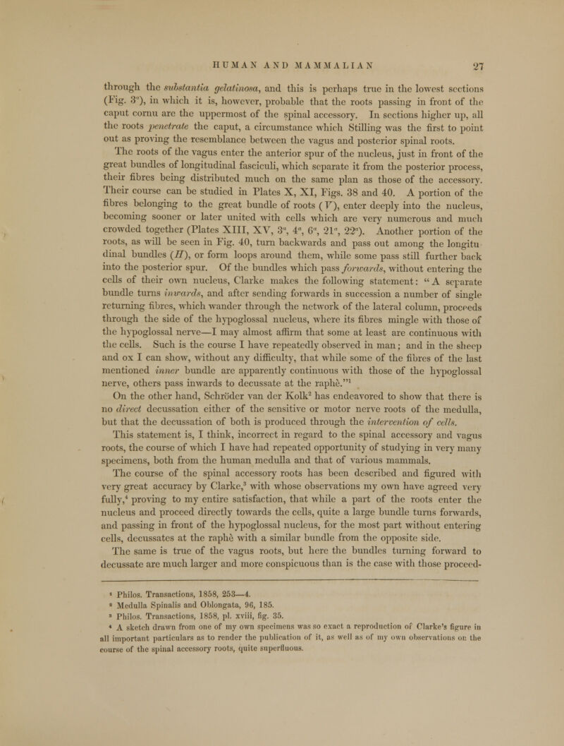 through the substantia gelatinosa, and this is perhaps true in the lowest sections (Fig. 3), in which it is, however, probable that the roots passing in front of the caput cornu arc the uppermost of the spinal accessory. In sections higher up, all the roots penetrate the caput, a circumstance which Stilling was the first to point out as proving the resemblance between the vagus and posterior spinal roots. The roots of the vagus enter the anterior spur of the nucleus, just in front of the great bundles of longitudinal fasciculi, which separate it from the posterior process, their fibres being distributed much on the same plan as those of the accessory. Their course can be studied in Plates X, XI, Figs. 38 and 40. A portion of the fibres belonging to the great bundle of roots (V), enter deeply into the nucleus, becoming sooner or later united with cells which are very numerous and much crowded together (Plates XIII, XV, 3«, 4<\ 6a, 21, 22). Another portion of the roots, as will be seen in Fig. 40, turn backwards and pass out among the longitu dinal bundles (#), or form loops around them, while some pass still further back into the posterior spur. Of the bundles which pass forwards, without entering the cells of their own nucleus, Clarke makes the following statement:  A separate bundle turns inwards, and after sending forwards in succession a number of single returning fibres, which wander through the network of the lateral column, proceeds through the side of the hypoglossal nucleus, where its fibres mingle with those of the hypoglossal nerve—I may almost affirm that some at least are continuous with the cells. Such is the course I have repeatedly observed in man; and in the sheep and ox I can show, without any difficulty, that while some of the fibres of the last mentioned inner bundle are apparently continuous with those of the hypoglossal nerve, others pass inwards to decussate at the raphe.1 On the other hand, Schroder van der Kolk2 has endeavored to show that there is no direct decussation either of the sensitive or motor nerve roots of the medulla, but that the decussation of both is produced through the intervention of cells. This statement is, I think, incorrect in regard to the spinal accessory and vagus roots, the course of which I have had repeated opportunity of studying in very many specimens, both from the human medulla and that of various mammals. The course of the spinal accessory roots has been described and figured with very great accuracy by Clarke,3 with whose observations my own have agreed very fully,4 proving to my entire satisfaction, that while a part of the roots enter the nucleus and proceed directly towards the cells, quite a large bundle turns forwards, and passing in front of the hypoglossal nucleus, for the most part without entering cells, decussates at the raphe with a similar bundle from the opposite side. The same is true of the vagus roots, but here the bundles turning forward to decussate are much larger and more conspicuous than is the case with those proceed- 1 Philos. Transactions, 1858, 253—4. 8 Medulla Spinalis and Oblongata, 96, 185. 3 Philos. Transactions, 1858, pi. xviii, fig. 35. 4 A sketch drawn from one of my own specimens was so exact a reproduction of Clarke's figure in all important particulars as to render the publication of it, as well as of my own observations on the course of the spinal accessory roots, cpiite superfluous.